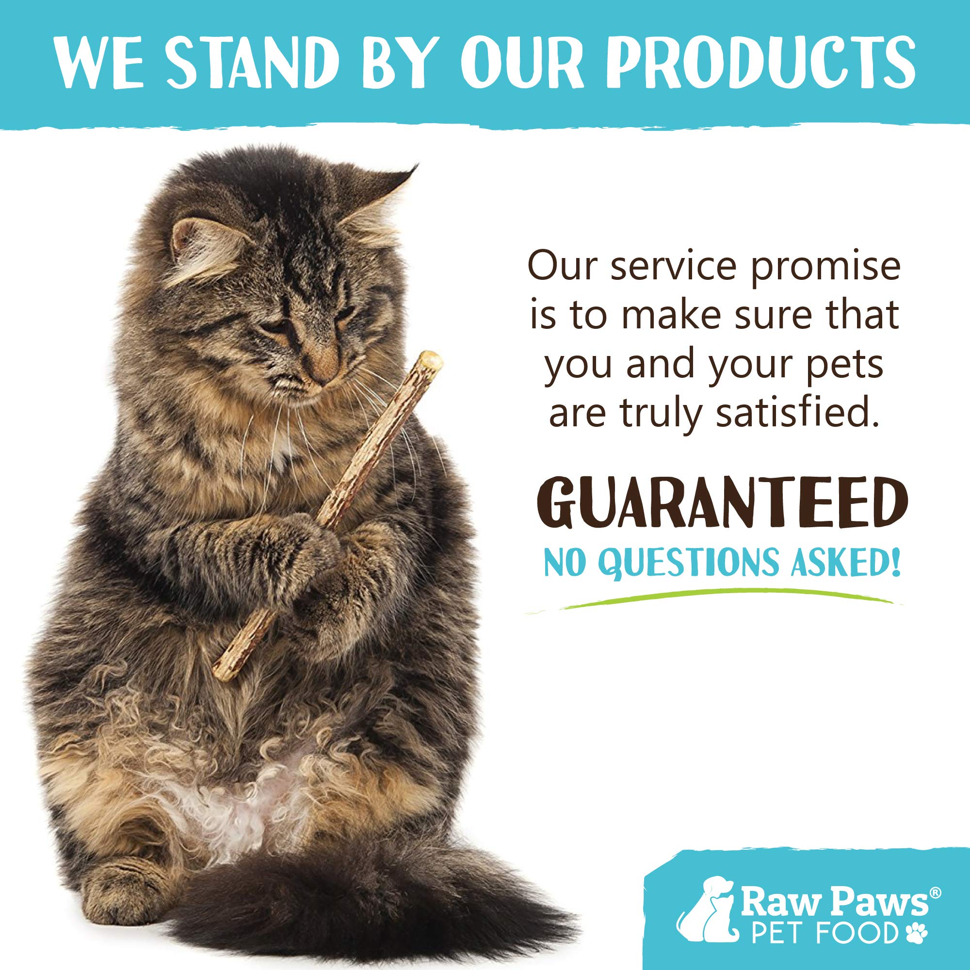Raw Paws Silvervine Sticks for Cats, 30 (Pack) - Silvervine Cat Toy for Indoor Cats, Catnip Sticks, Matatabi Cat Chew Stick, Silvervine for Cats, Silver Vine Sticks Cats Kicker Toy, Cat Toy Silvervine