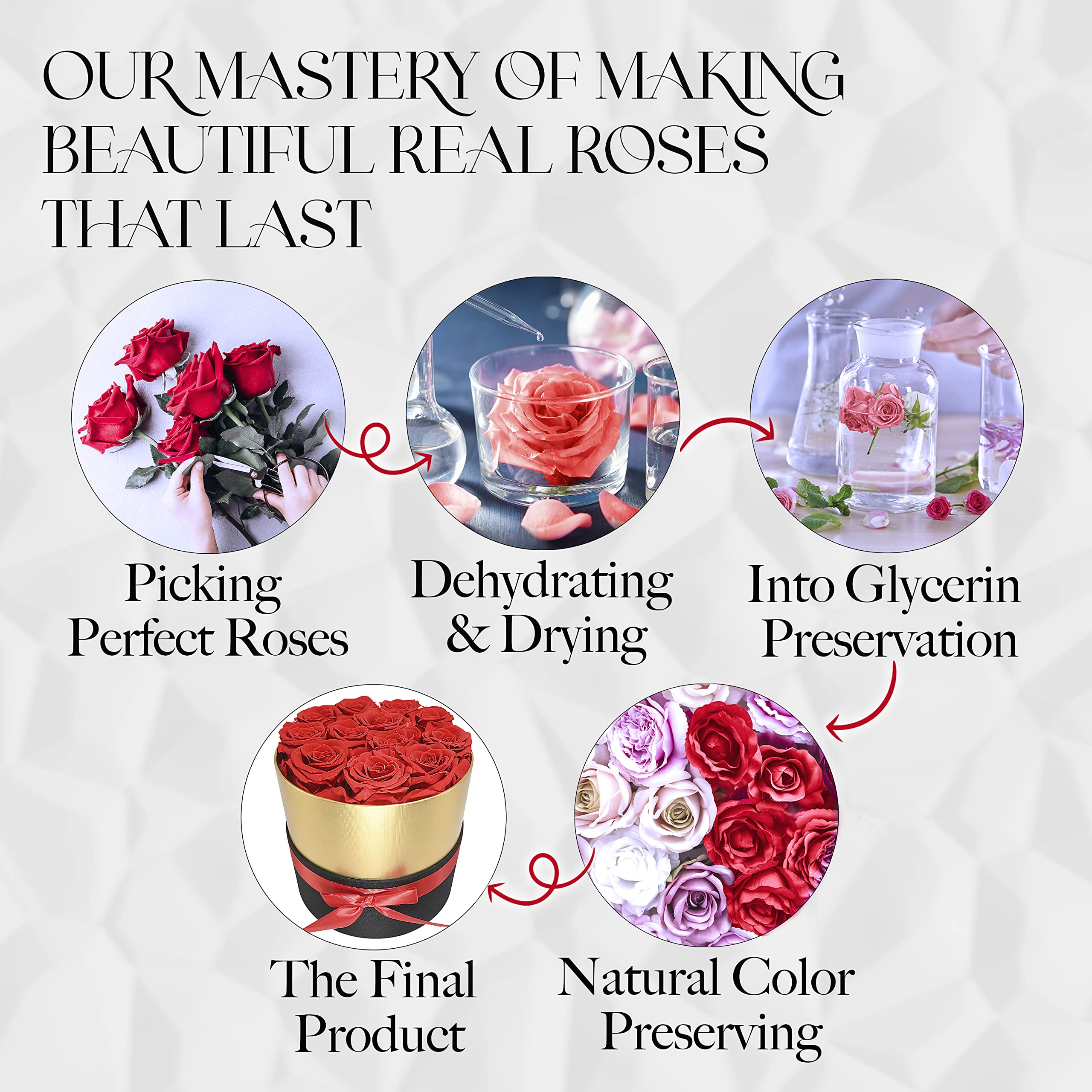 GLAMOUR BOUTIQUE Eternal Preserved Roses in a Box - Flowers Forever Valentine’s Day, Roses Forever for Women, Roses Forever in a Box for Delivery, Birthday Gifts for Her, Red