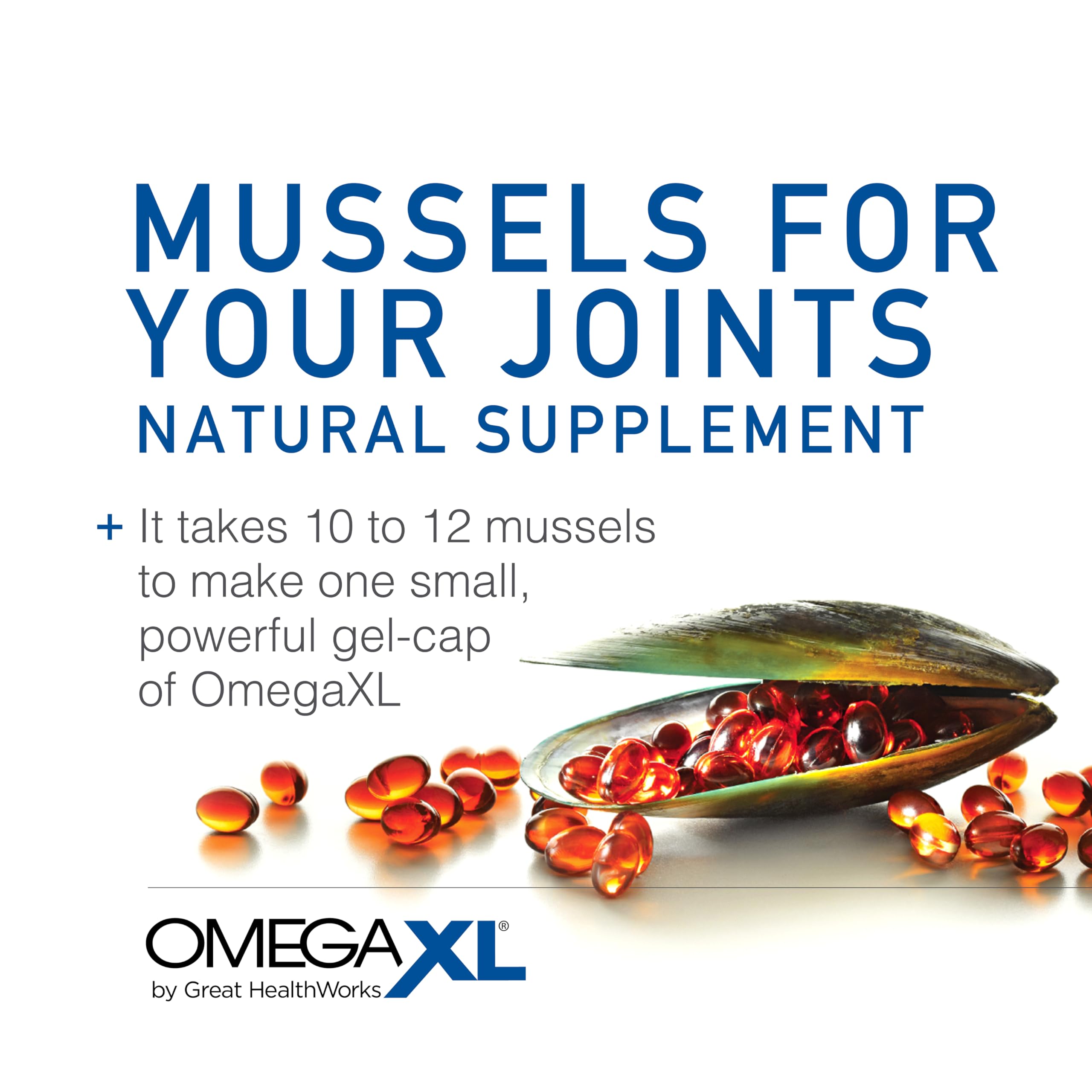 OmegaXL Joint Support Supplement - Natural Muscle Support, Green Lipped Mussel Oil, Soft Gel Pills, Drug-Free, 300 Count