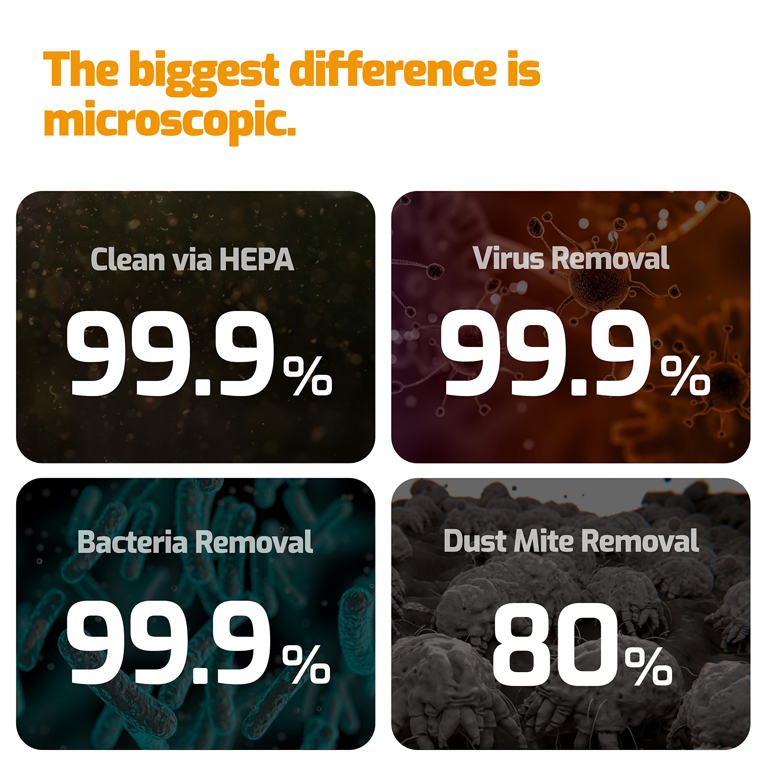 RAYCOP LITE UV Sanitizing HEPA Allergen Vacuum Effectively Removes Dust Mite Matters, Bacteria, Viruses and Pollen