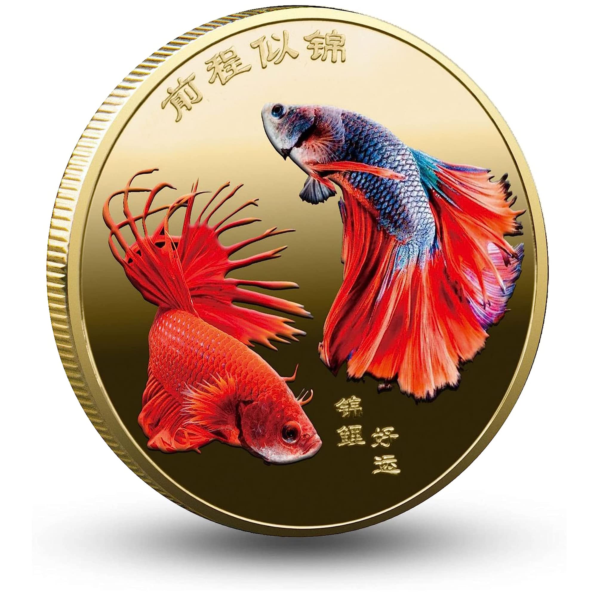 Wish You Have an Infinitely Bright Future Koi Fish Lucky Coin - Attract Good Fortune & Prosperity - Good Luck Chinese Challenge Coin