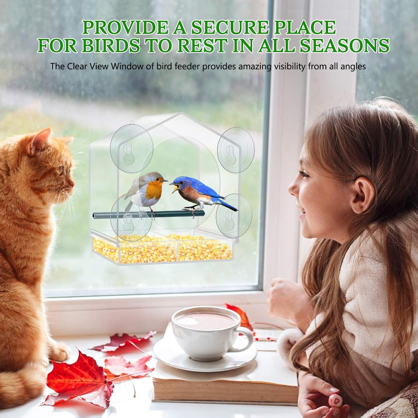 Window Bird Feeder with 4 Extra Strong Suction Cups, Drainage Holes Detachable Seed Tray Easy Install and Clean Bird Feeders for Window Outdoor Window Bird Feeders for Viewing