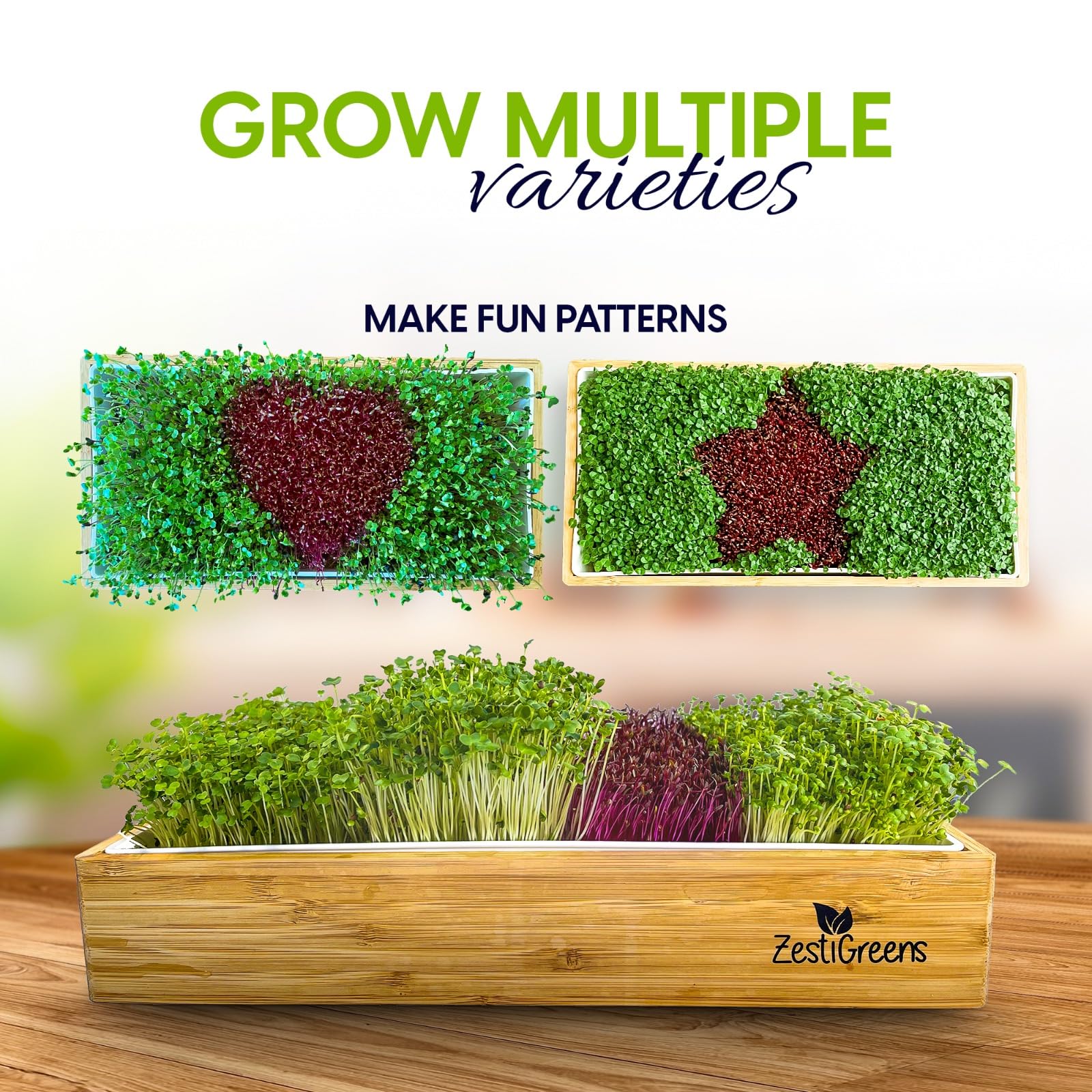 ZESTIGREENS Self Watering Microgreens Growing Kit. Hands Down The Easiest Way to Grow Microgreens. Includes Tray, Seeds, Mats, and Bamboo Surround. Great Gift for Gardeners