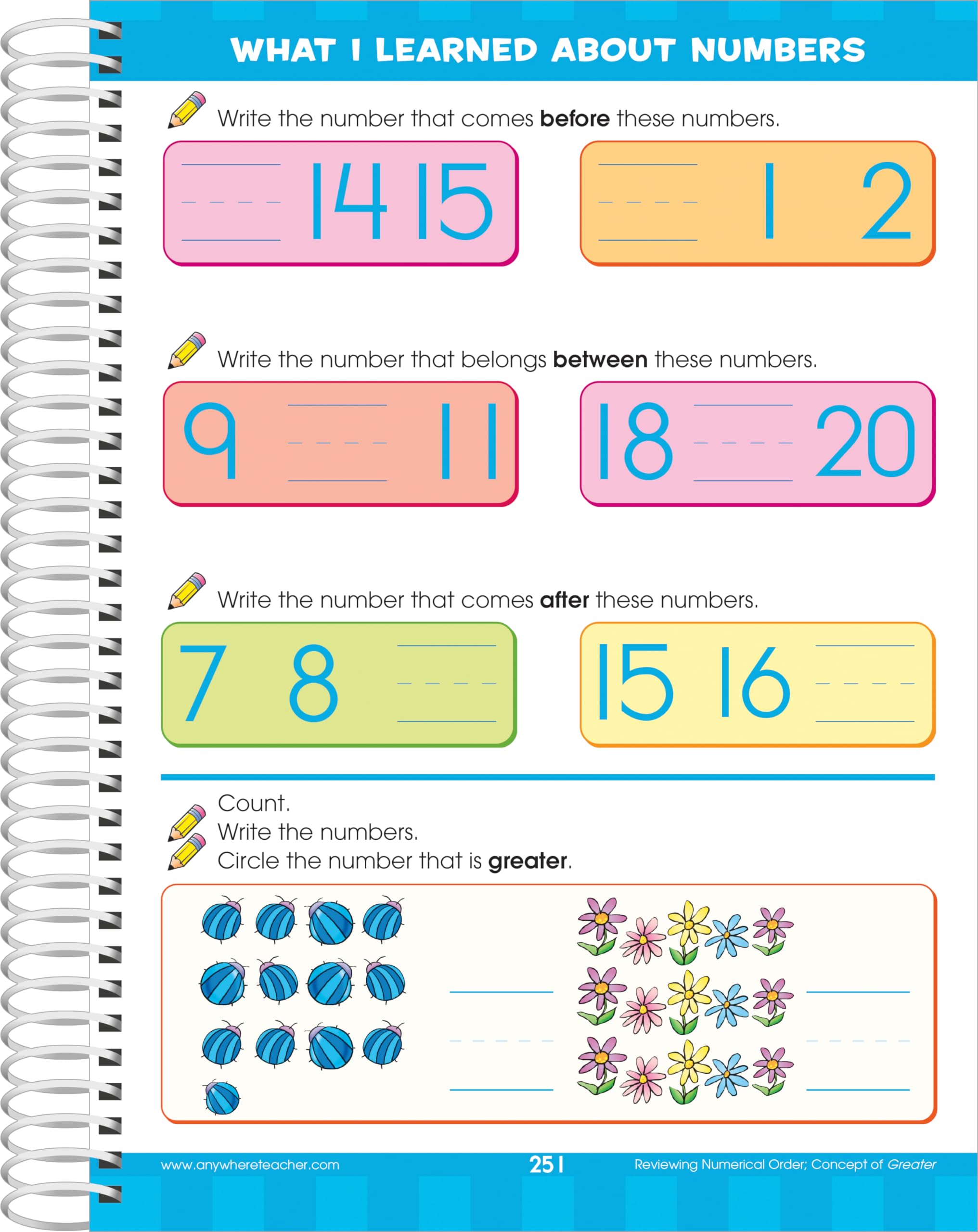 School Zone - Big Kindergarten Workbook - 320 Spiral Pages, Ages 5 to 6, Early Reading and Writing, Numbers 0-20, Basic Math, Matching, Story Order, and More (Big Spiral Bound Workbooks)