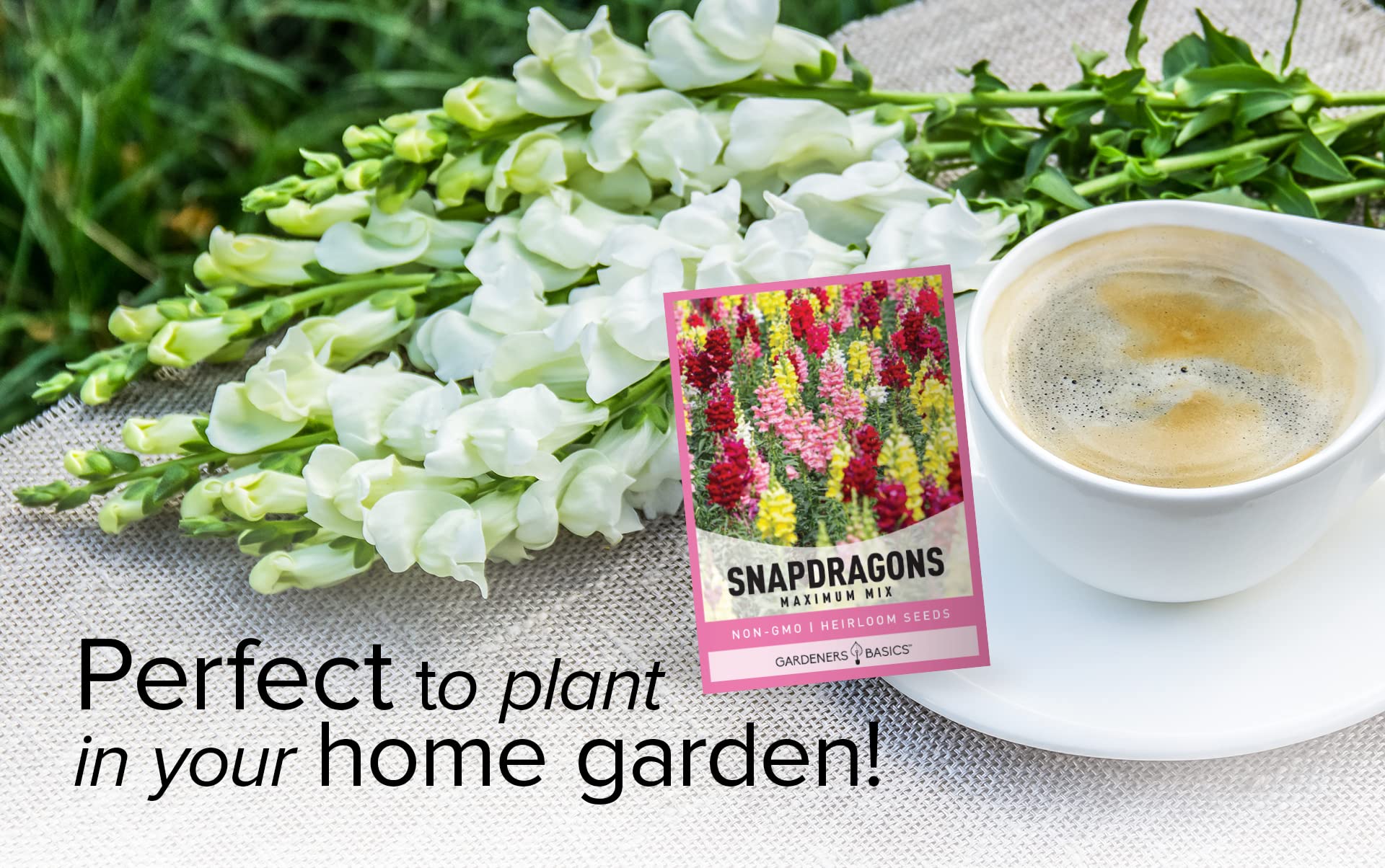 Gardeners Basics, Snapdragon Seeds for Planting (Maximum Mix Snap Dragon) Annual Flower Heirloom, Non-GMO Variety- 400mg Seeds Great for Summer Seeds for Gardening Flowers Gardens