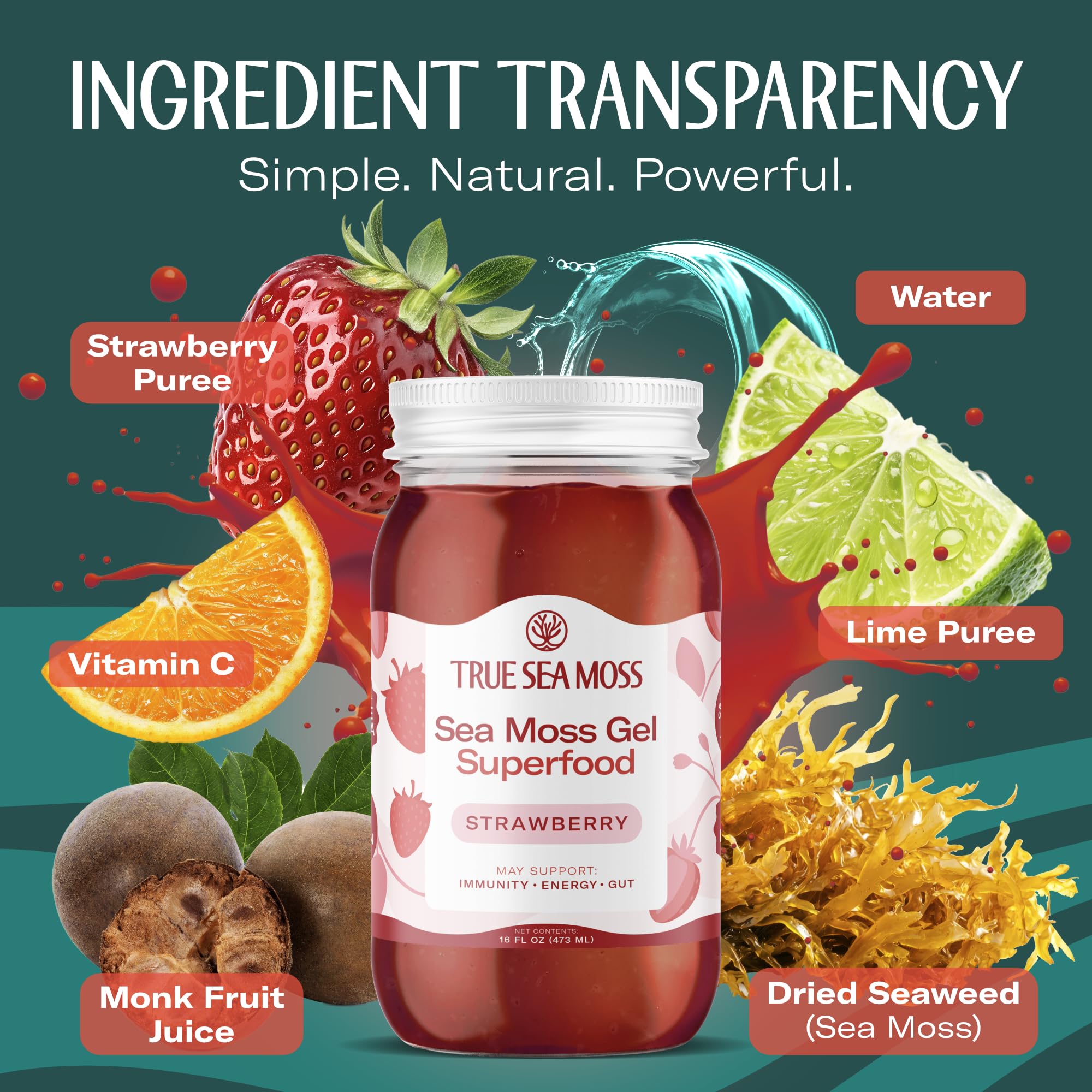 TrueSeaMoss Sea Moss Gel – Made in USA – Wildcrafted Seamoss, Fresh Fruits & Sea Vegetables – Strawberry, Pack of 1 (Labels may Vary)