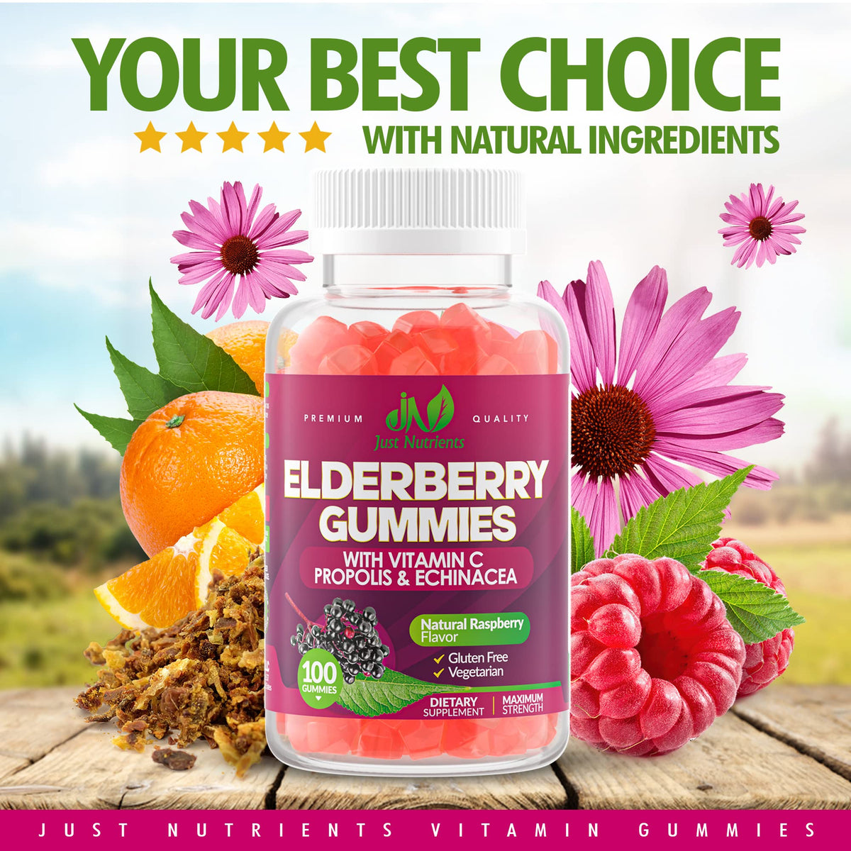 Elderberry Gummies with Vitamin C, Echinacea, Propolis (100 count) - Immune Support for Adults & Kids - Maximum Strength, Great Tasting Raspberry Flavor - Gluten-Free, Vegan - 100 Gummies