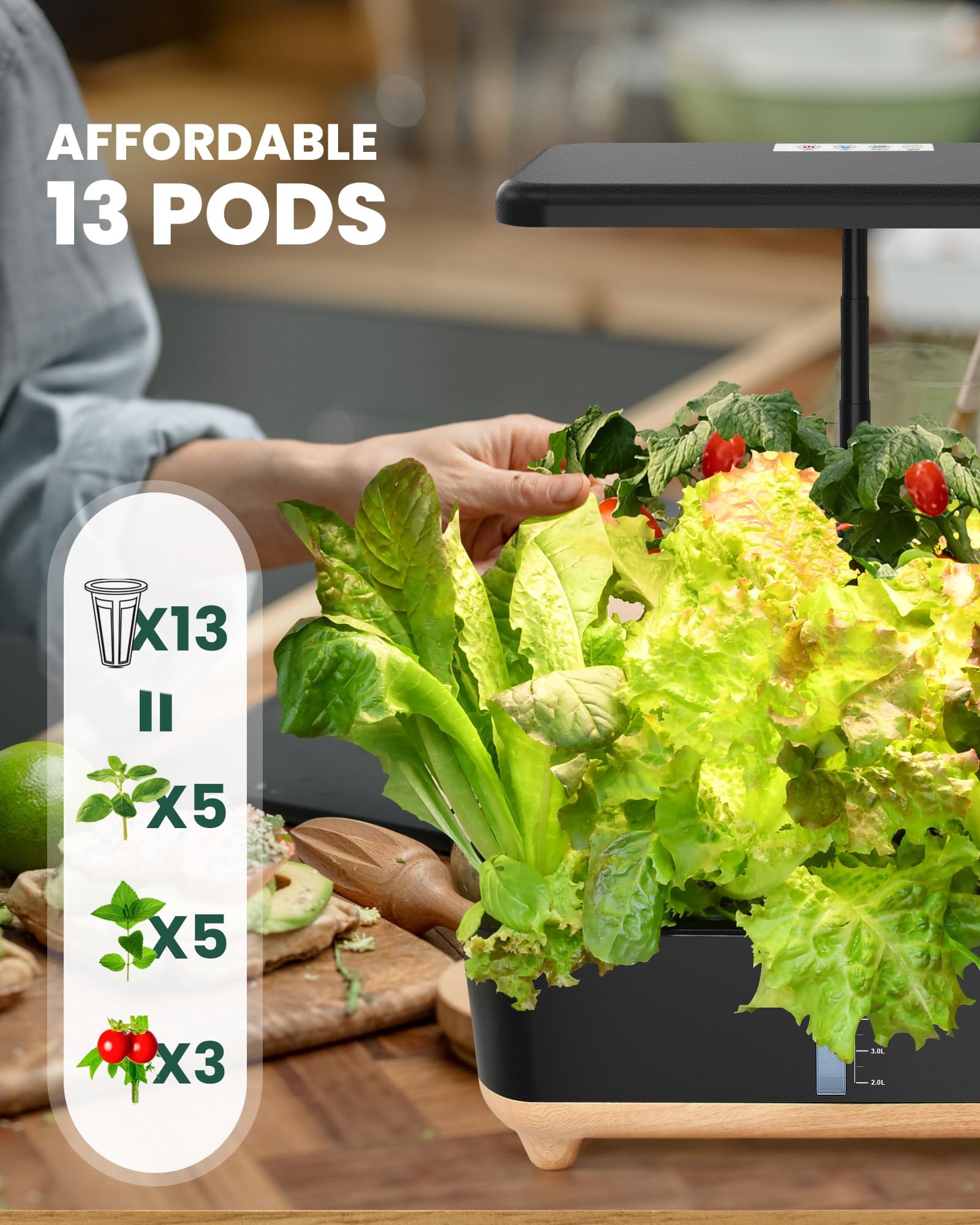 RAINPOINT Indoor Hydroponics Growing System,13 Pods Hydroponic Garden Planter, Vegetable Growing System Kit, Kitchen for Women, Hydro Garden Herb Grower