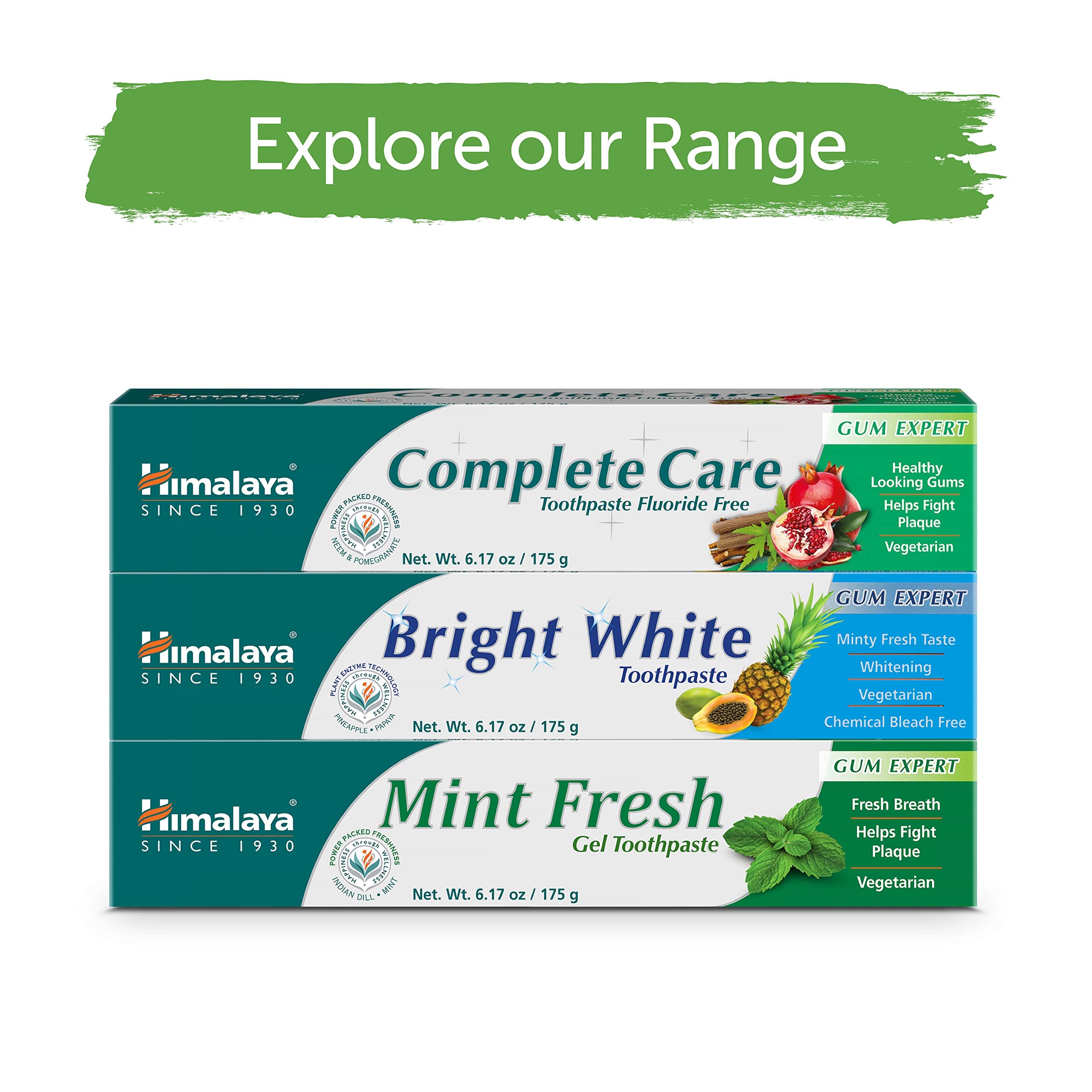 Himalaya Mint Fresh Gel Toothpaste, Fluoride Free to Reduce Plaque & Brighten Teeth, 6.17 oz