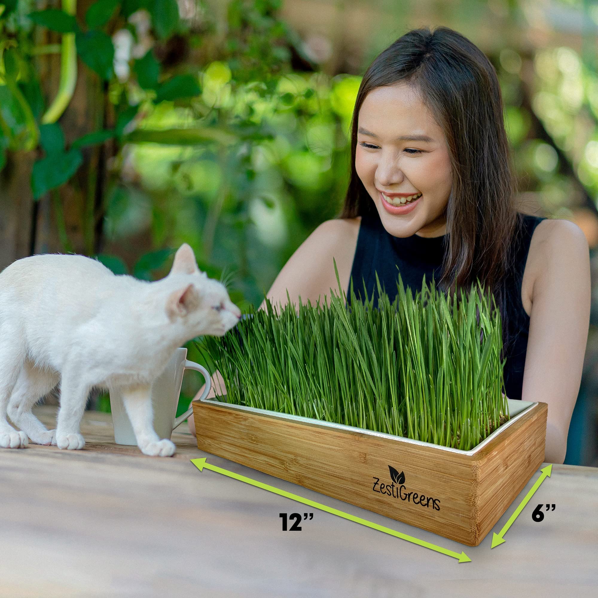 Self-Watering Cat Grass Kit. Hands Down The Easiest Way to Grow Cat Grass. Includes Everything for a Big, Healthy Crop.