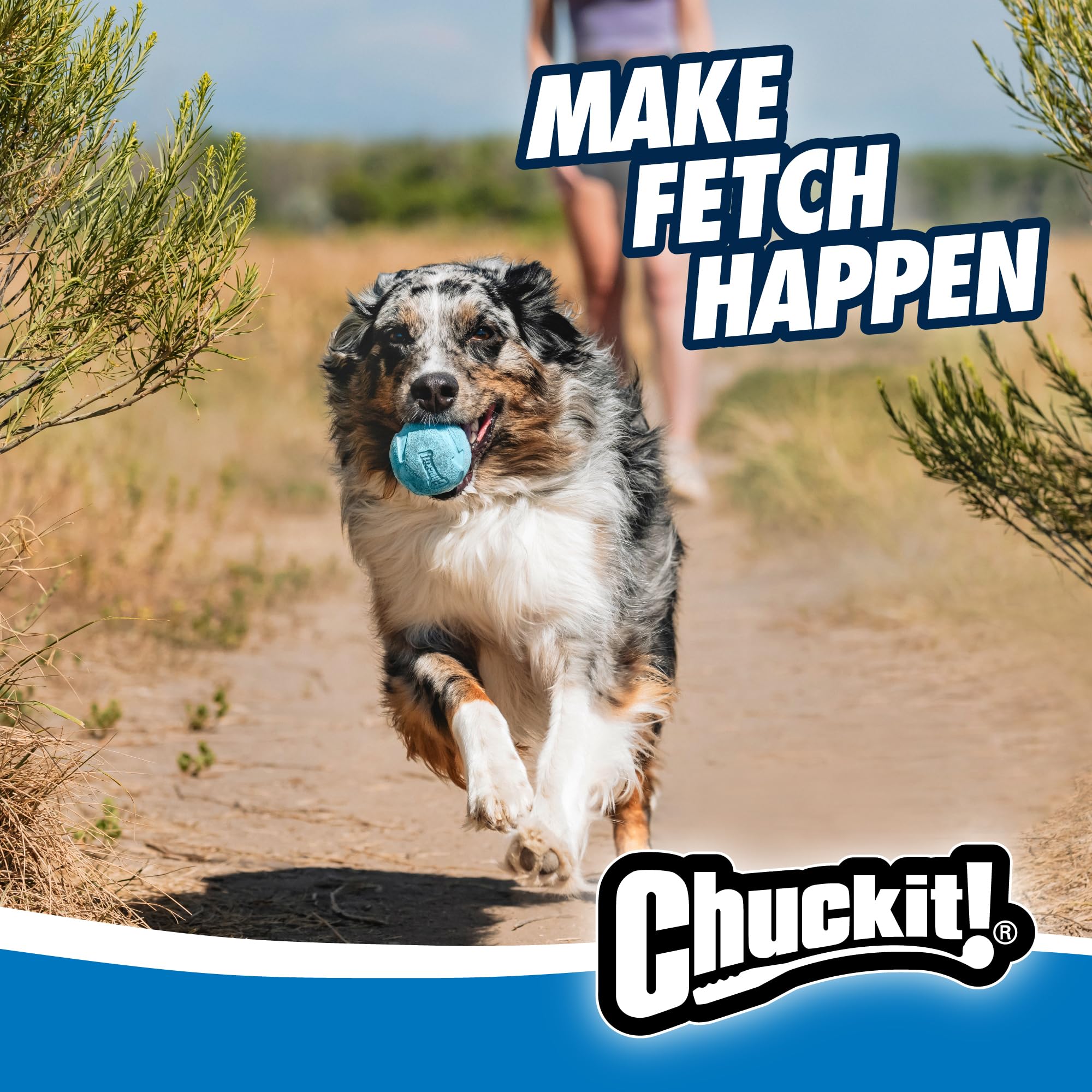 Chuckit! Rebounce Ball Dog Toy - Bouncy Fetch Balls for Dogs 20-60 lbs - Made from Durable Rubber - Outdoor Pet Toys - Size Medium - 2.5-inch Diameter - Pack of 2 - Blue
