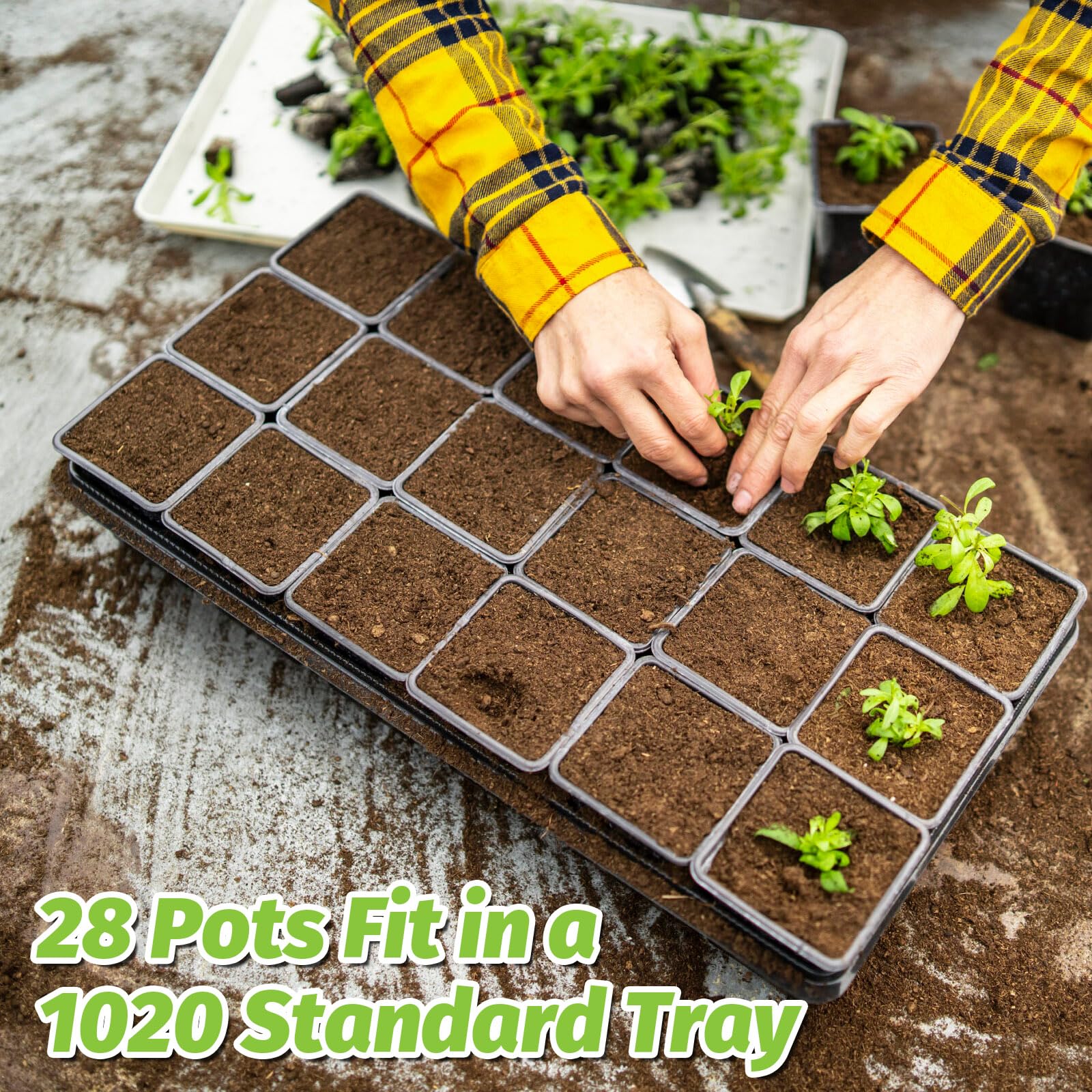 100Pcs Square Nursery Pots 2.6 Inch Flexible Plastic Seedling Pots Small Plant Pots Thick Seed Starter Pots for Plants, Succulent, Flower with 60Pcs Plant Labels