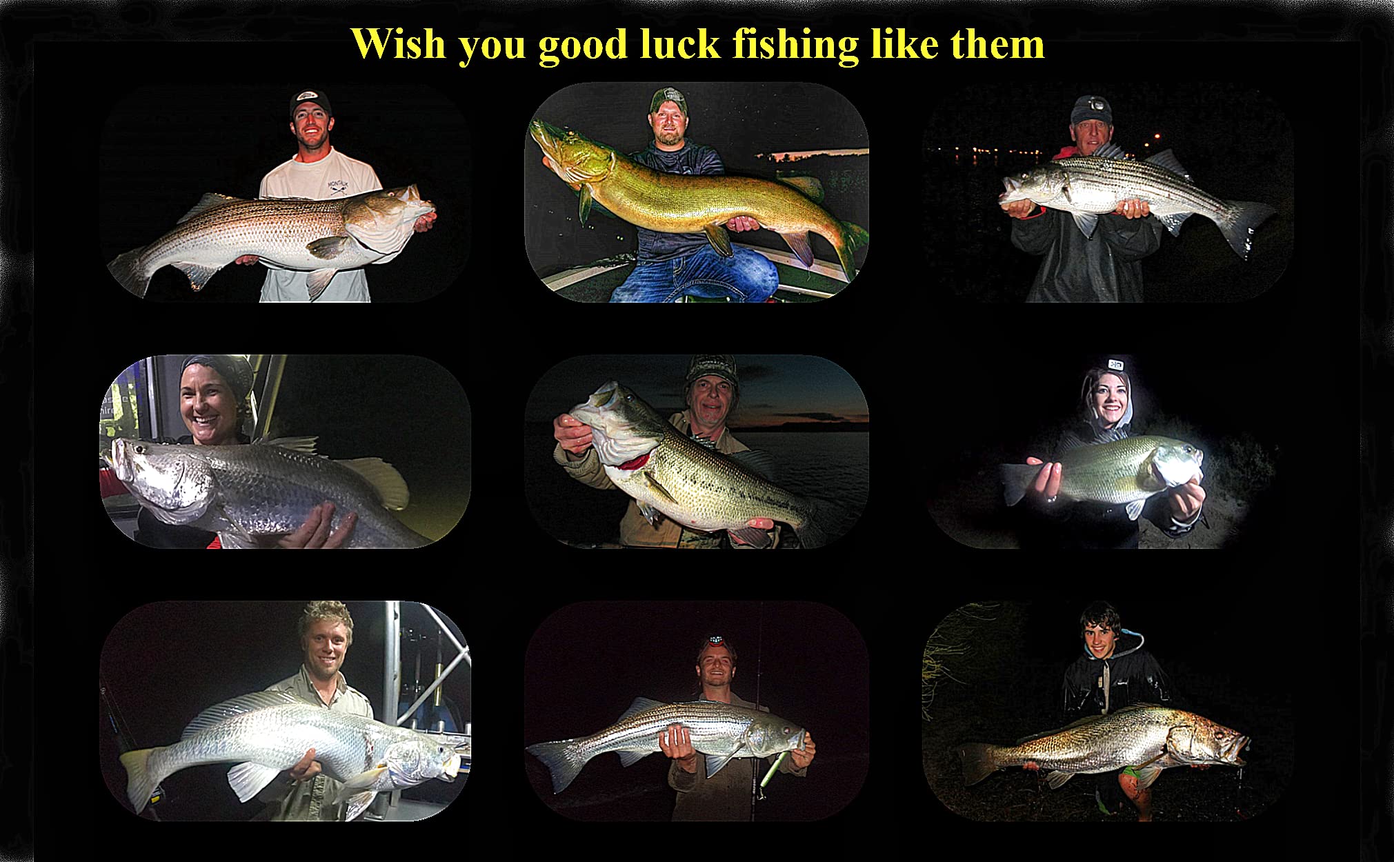 TRZLIFE 100PCS Fishing Glow Sticks (50 Bags) 10Hrs Long-Lasting 180m High Visibility Mini Float Lights Compatible with Bobbers/Rod Tips/Underwater/Sea/Catfish/Surf Bank Fishing Pro Terminal Tackle