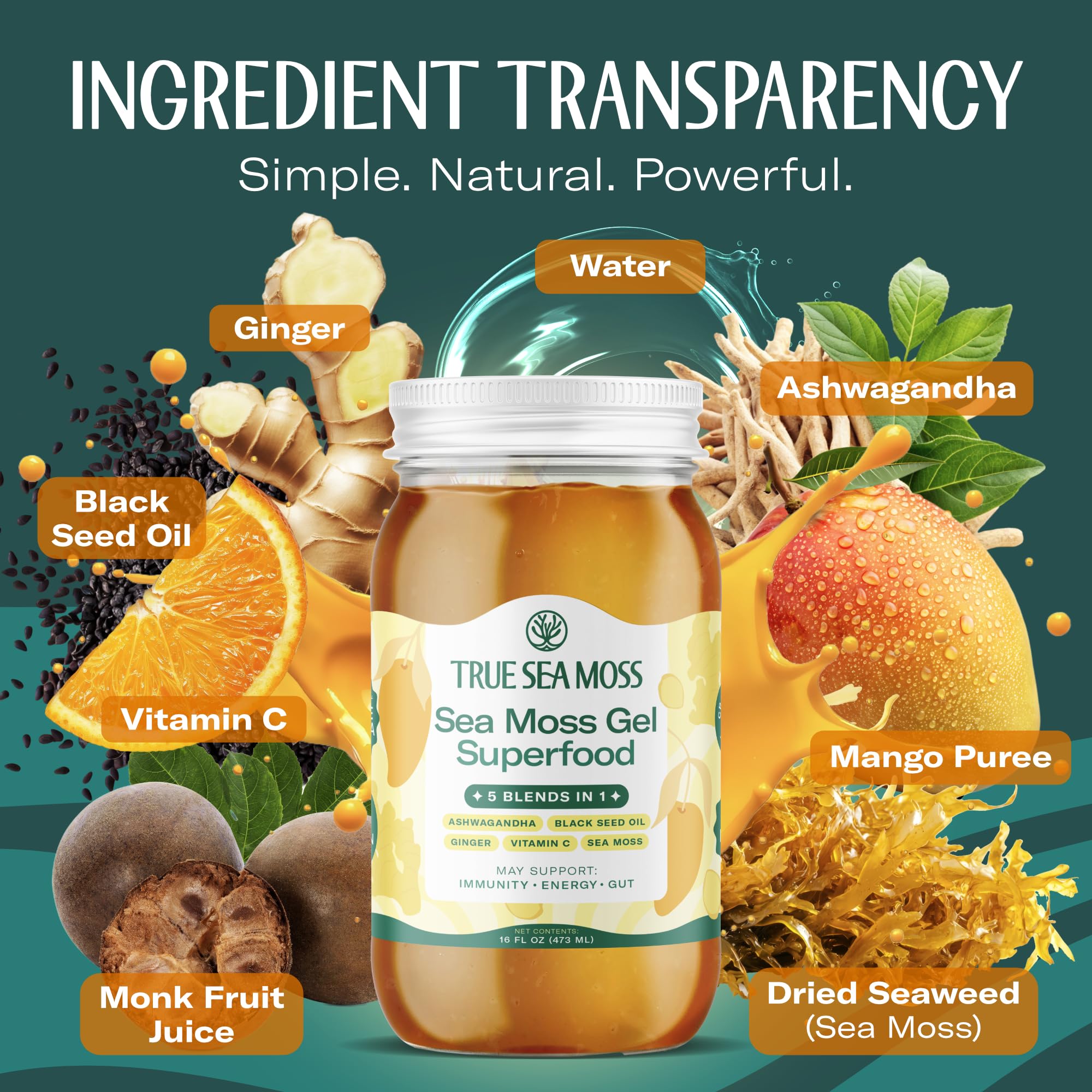 TrueSeaMoss Sea Moss Gel – Made in USA – 5-in-1 Formula – Wildcrafted Seamoss, Ashwagandha & Sea Vegetables – Ashwagandha, Pack of 1 (Labels May Vary)