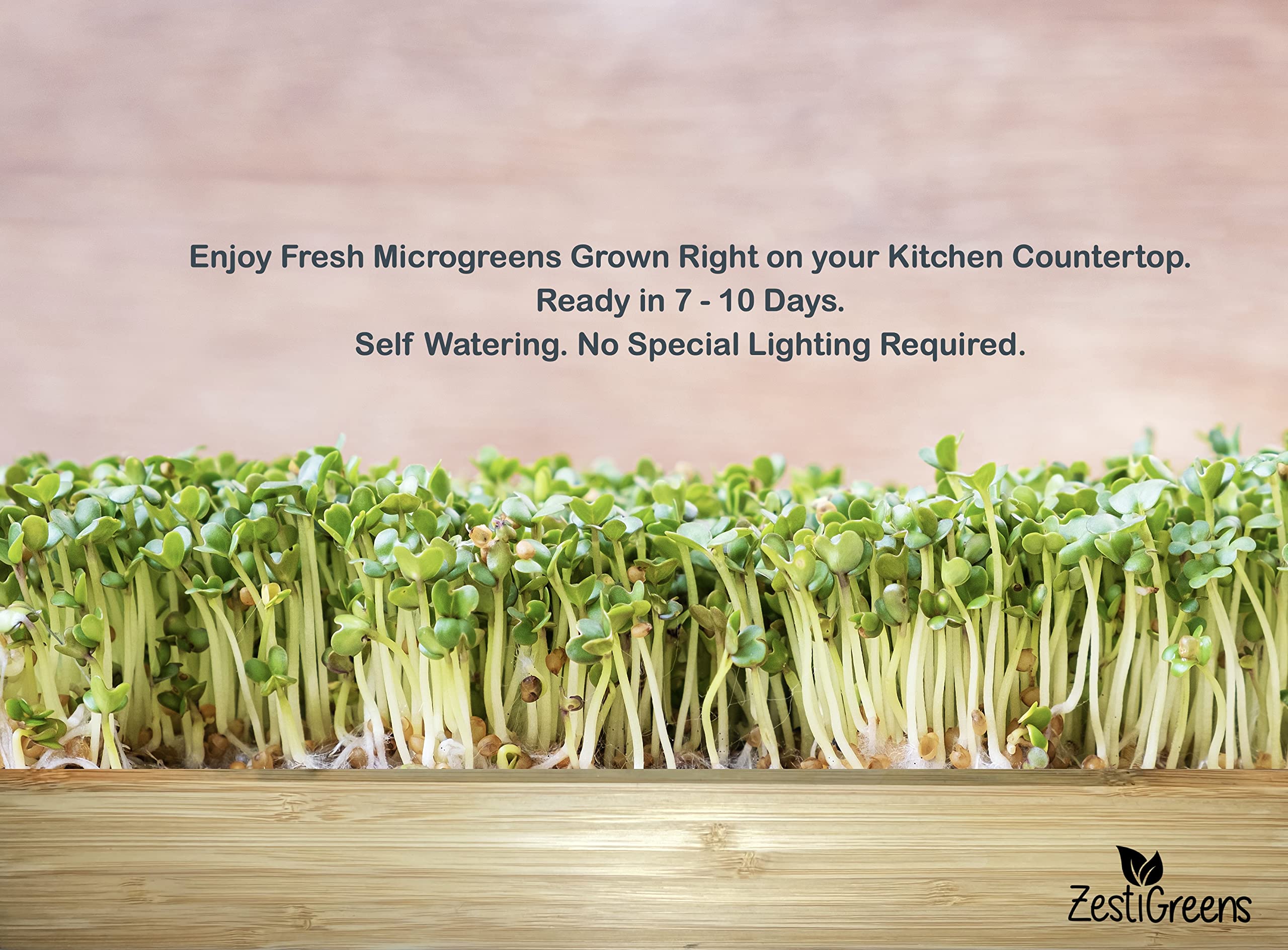 Microgreens Kit Refills with 9 Plant Mats & 9 Types of Seeds for ZestIGreens Microgreens Starter Kit
