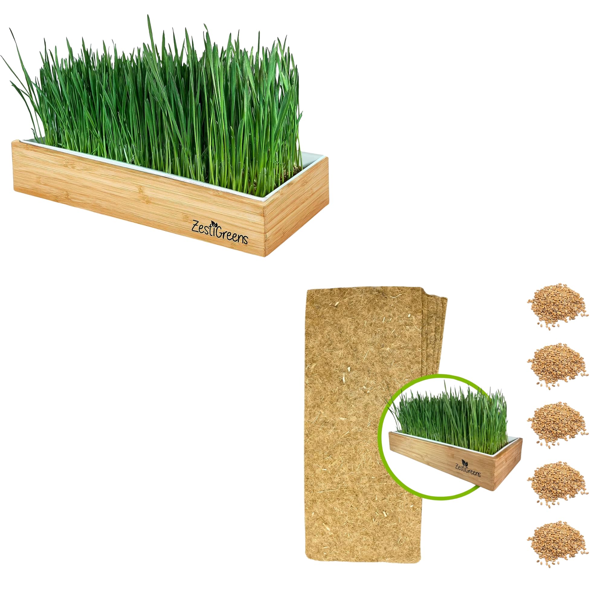 Organic Wheatgrass Growing Kit, Self Watering, with Soilless Grow Mats and Organic Wheatgrass Self Watering Kit Refill Mats & Seeds for 5 Crops (Refill Kits)