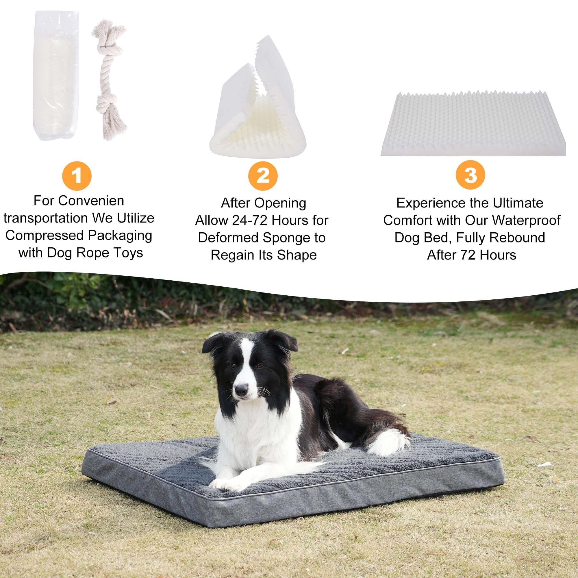 SOFTHOLA Orthopedic Dog Bed for Large and Medium Dogs, Dog Mat with Removable Washable Cover & Anti-Slip Bottom,Egg Crate Foam Pet Bed,Dog Mattress,Kennel Pad 36 x 27 inches for Dogs Up to 65 lbs