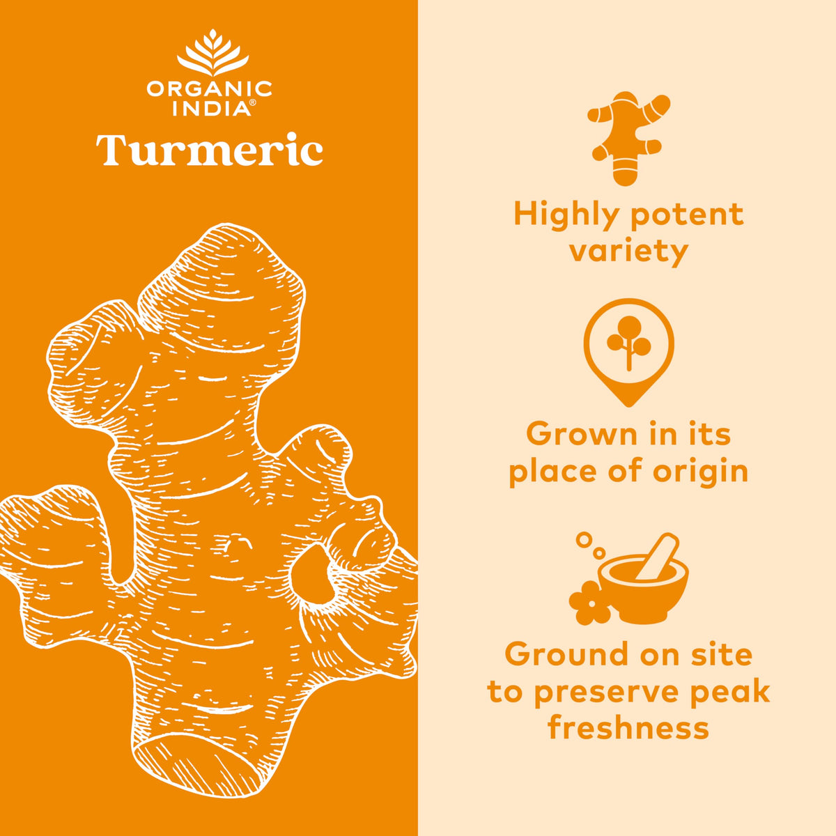 ORGANIC INDIA Turmeric Curcumin with Black Pepper - Organic Turmeric Supplement and Curcumin Supplement, Turmeric Capsules, Joint Support & Immune System Support, Whole Root, Trikatu - 180 Capsules