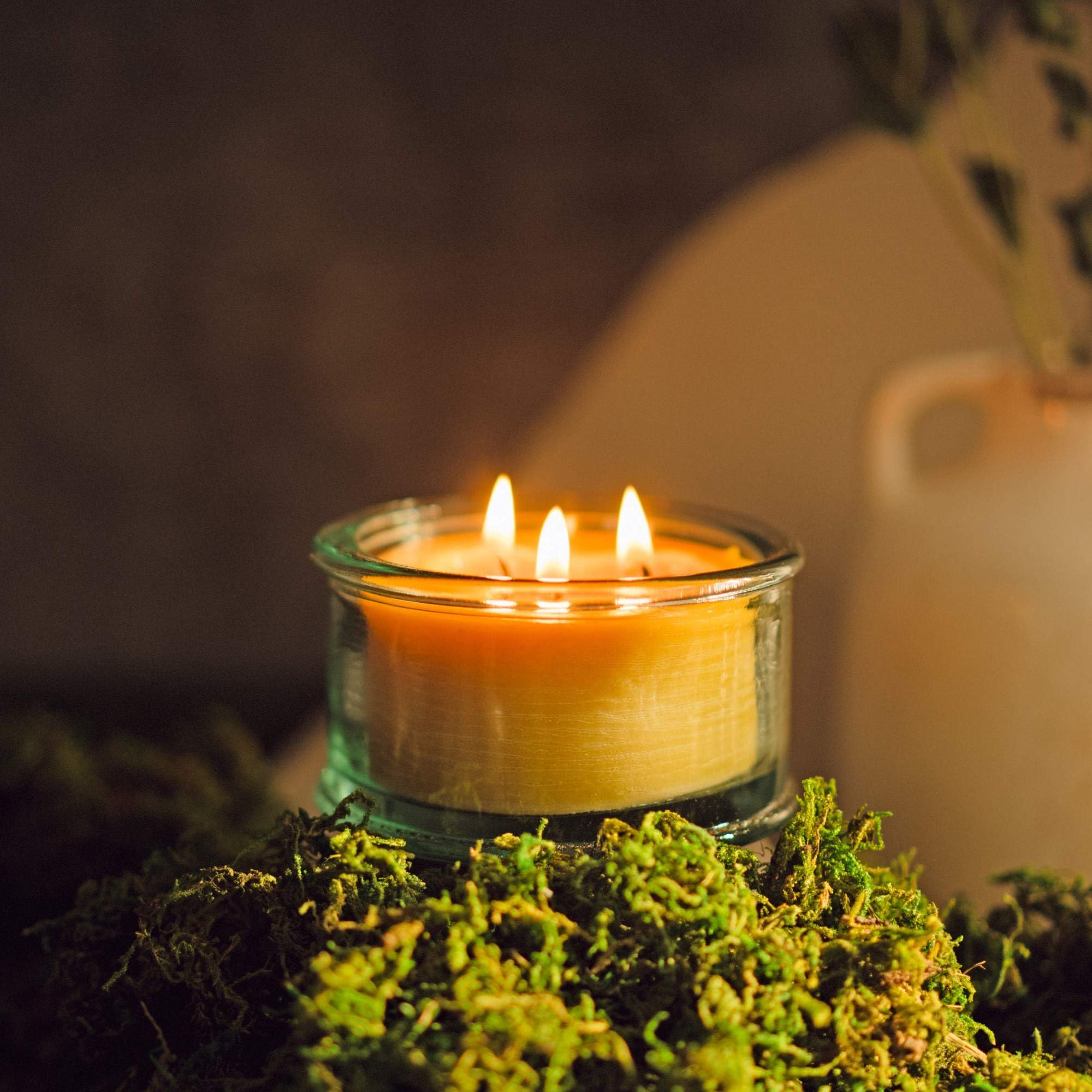 Bluecor Botanica Beeswax Candle: 3-Wick Scented Candle Handmade with Pure Beeswax and Tangerine & Geranium Essential Oils