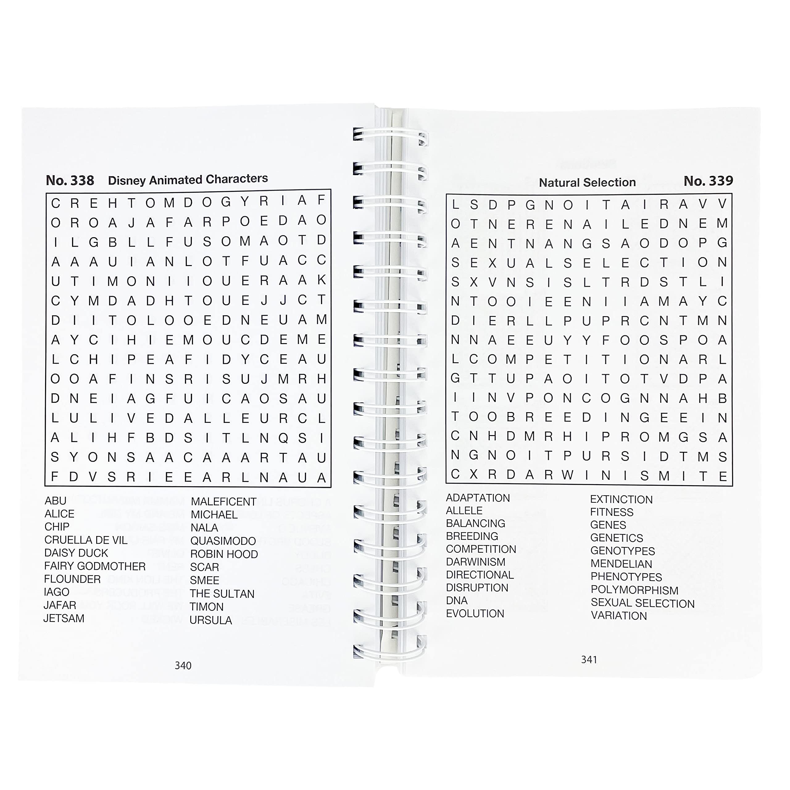 Word Search Puzzles (Big Book of Puzzles) (Brain Busters)