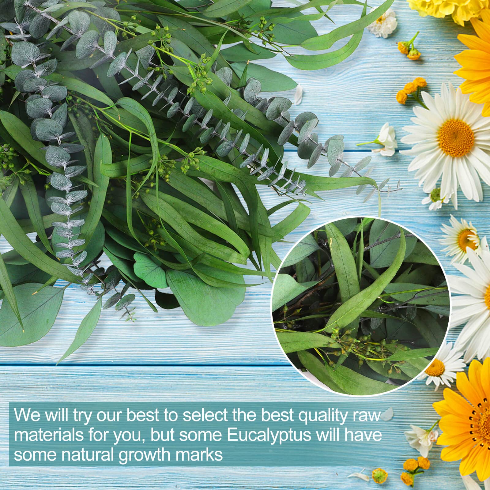 Glicrili 12Pcs Mixed Real Dried Eucalyptus Leaves Stems - Preserved Plant Branches, Silver Dollar Eucalyptus, Seeded Eucalyptus Bouquets for Vase Floral Arrangements Wedding Greenery Decor