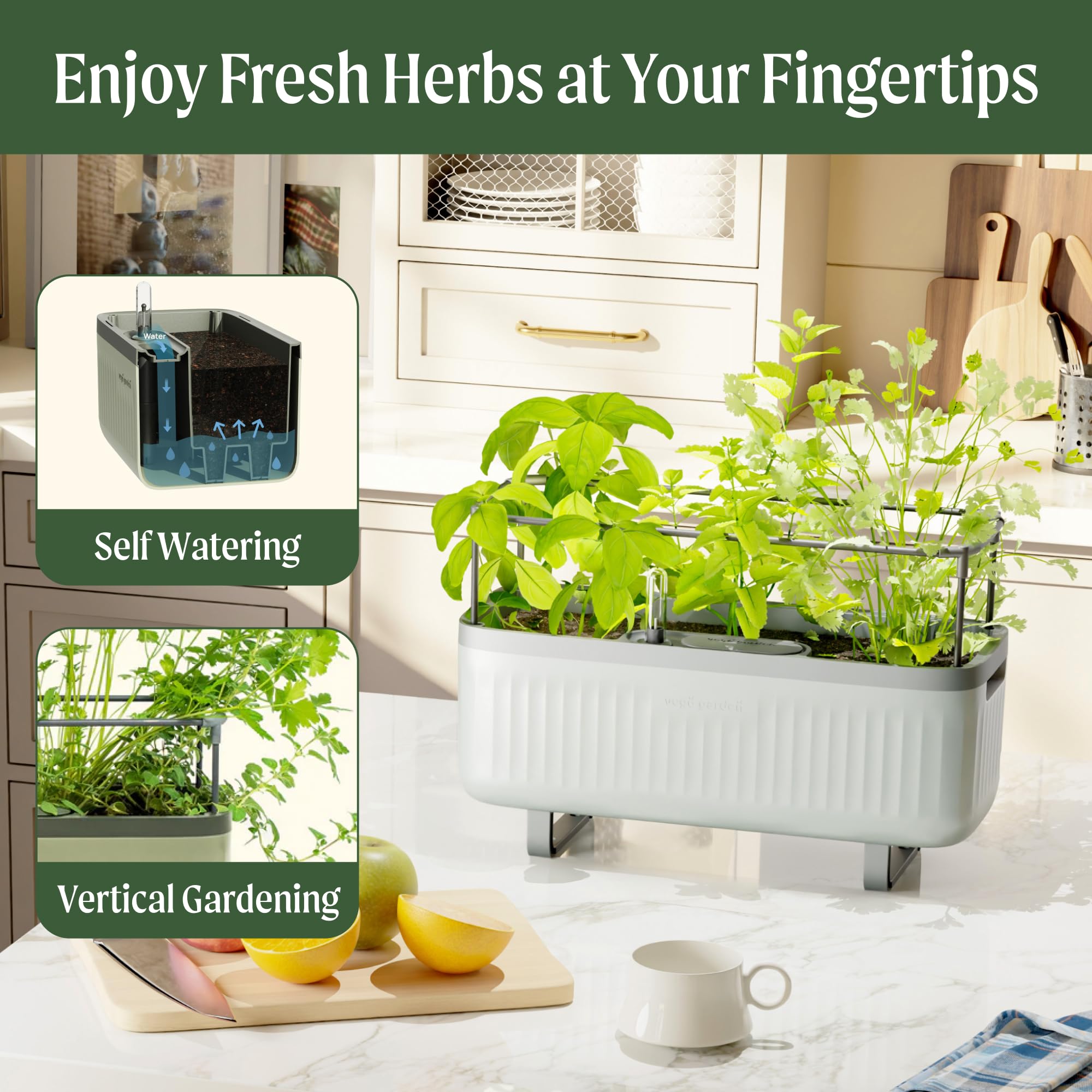 Vego Garden Herb Indoor Plant Box, Self Watering Planters Pots for Indoor Plants with Trellis for Kitchen Window Sill or Countertop Plants Cage - Fog Gray