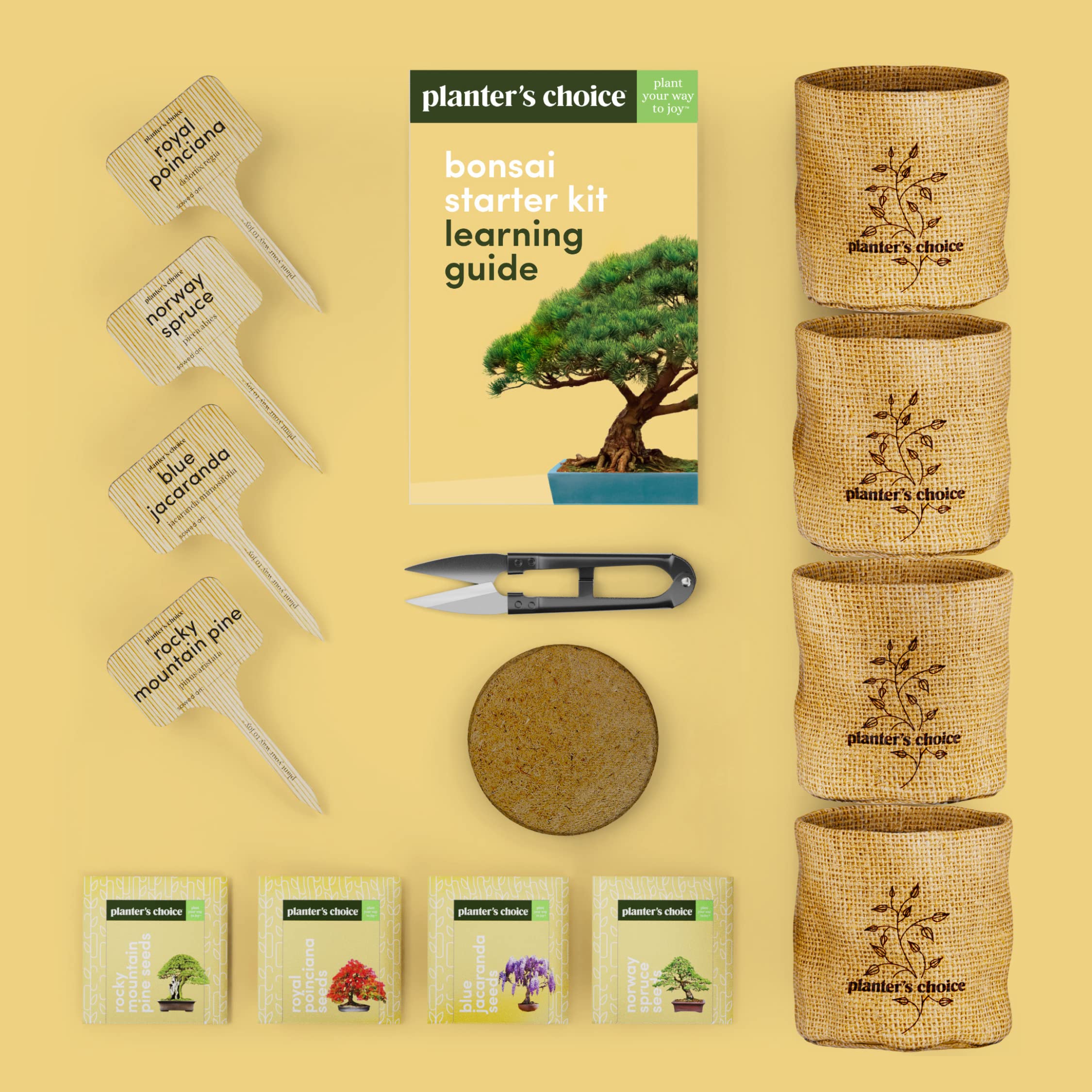 Bonsai Starter Kit - Gardening Gift for Women & Men - Bonsai Tree Growing Garden Crafts Hobby Kits for Adults, Unique DIY Hobbies for Plant Lovers - Unusual Christmas Gifts Ideas - or Gardener Mother