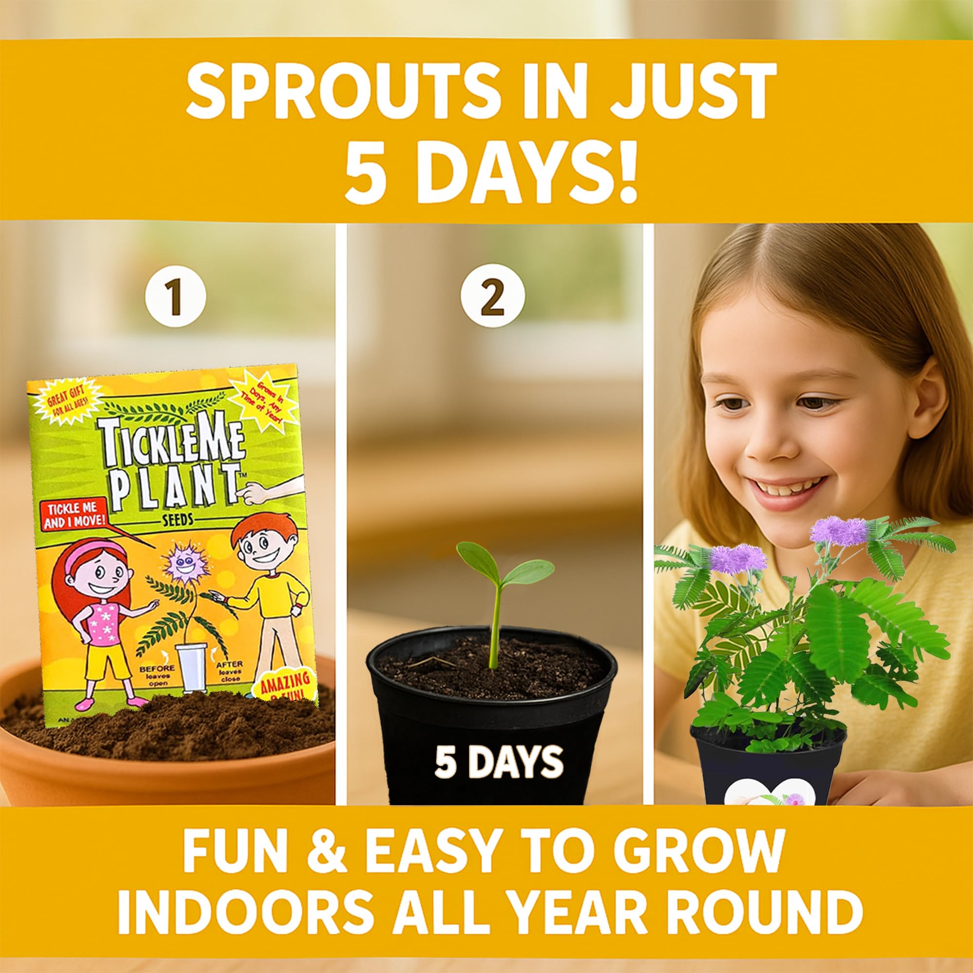 TickleMe Plant Seeds for Indoor Planting (2-Pack) – Interactive Party Favor | Leaves Close When Touched, Reopen in Minutes – Easy Indoor House Plant Seeds, Can Flower, Includes 10 Fun Activities