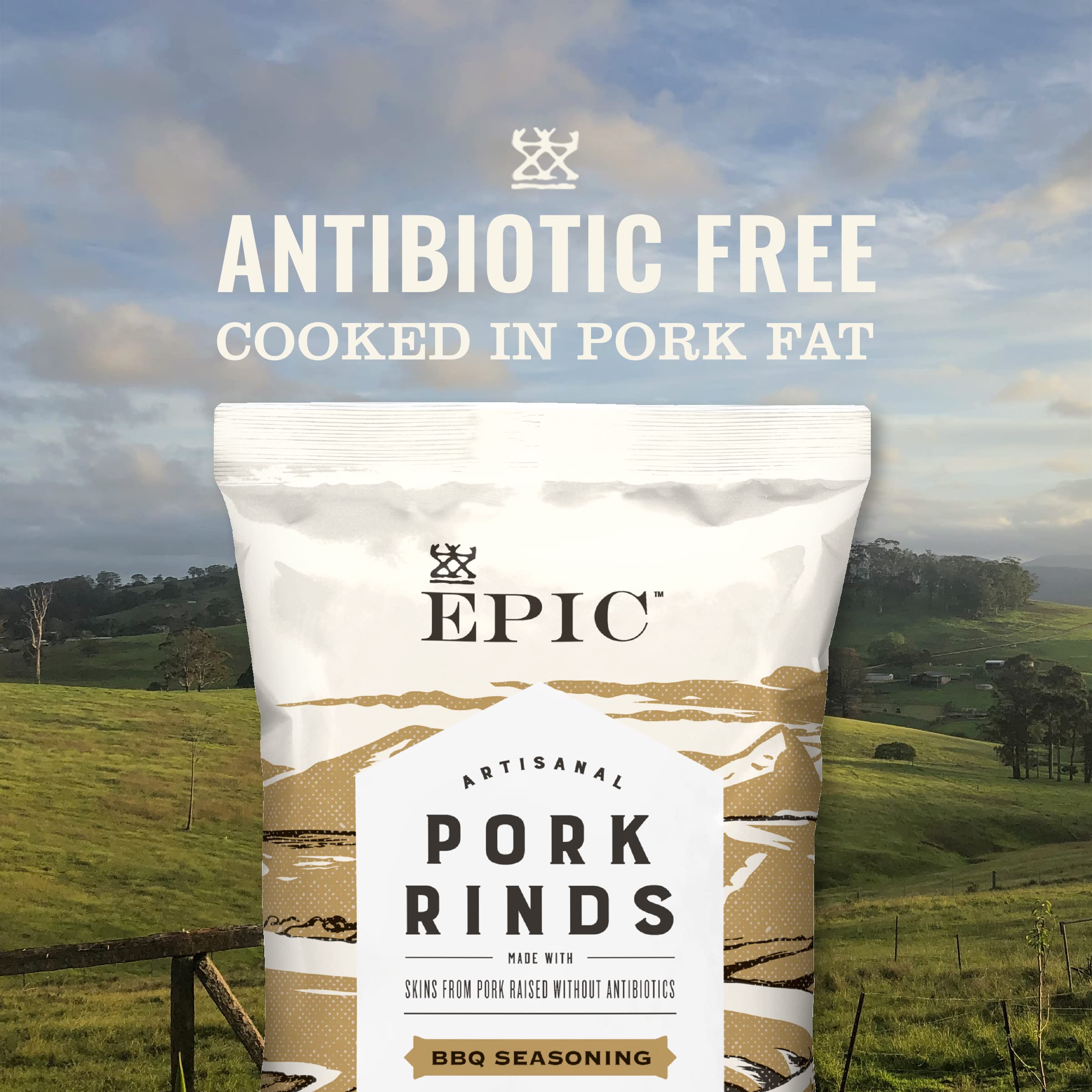 EPIC BBQ Pork Rinds Gluten Free, 2.5oz