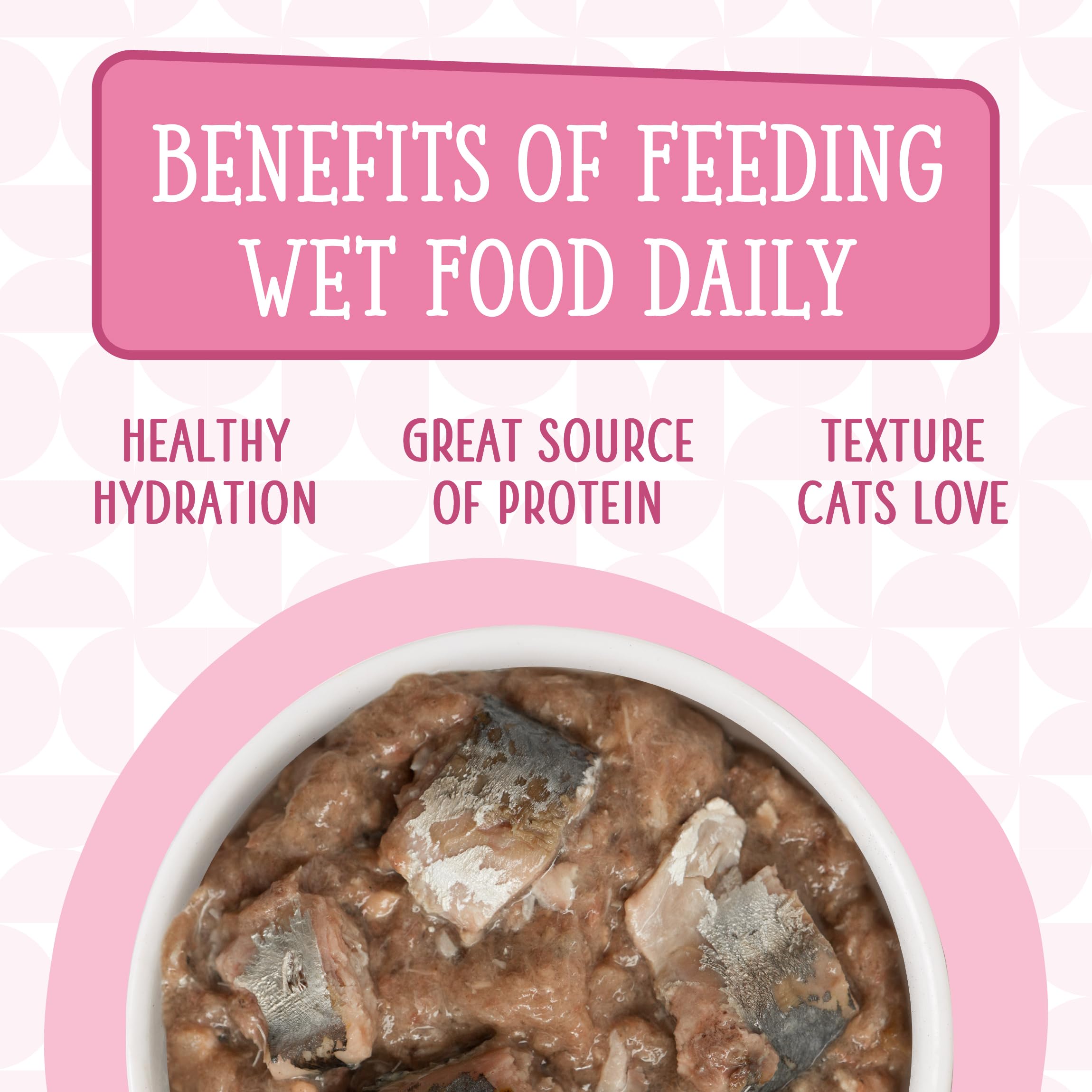 Weruva Cats in The Kitchen, Kitty Gone Wild with Wild Salmon Au Jus Cat Food, 6oz Can (Pack of 24)