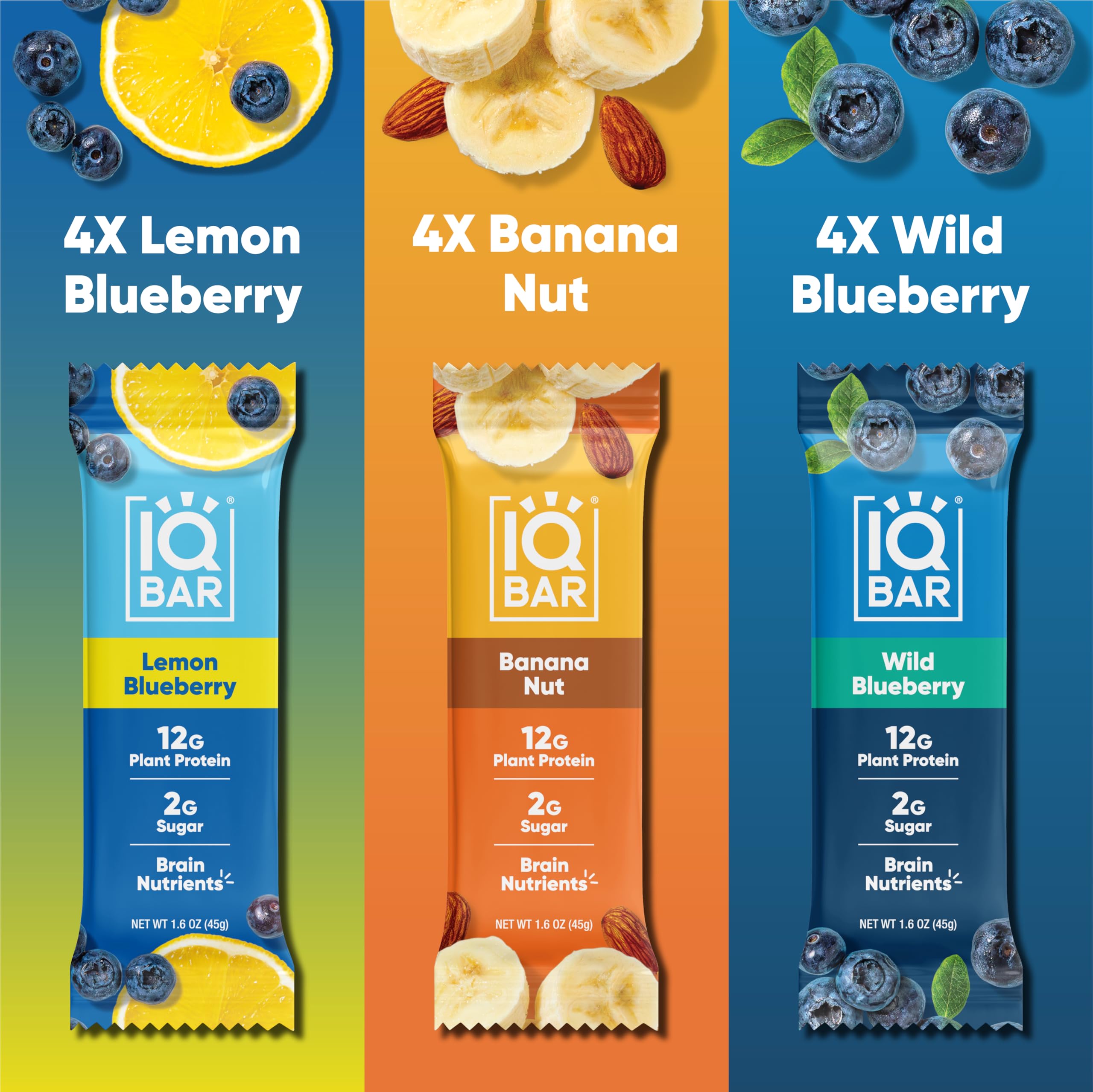 IQBAR Fruit Lovers Protein Bars - 12-Count Vegan Snack Pack - Gluten Free, Low Sugar and High Fiber Meal Replacement Bars