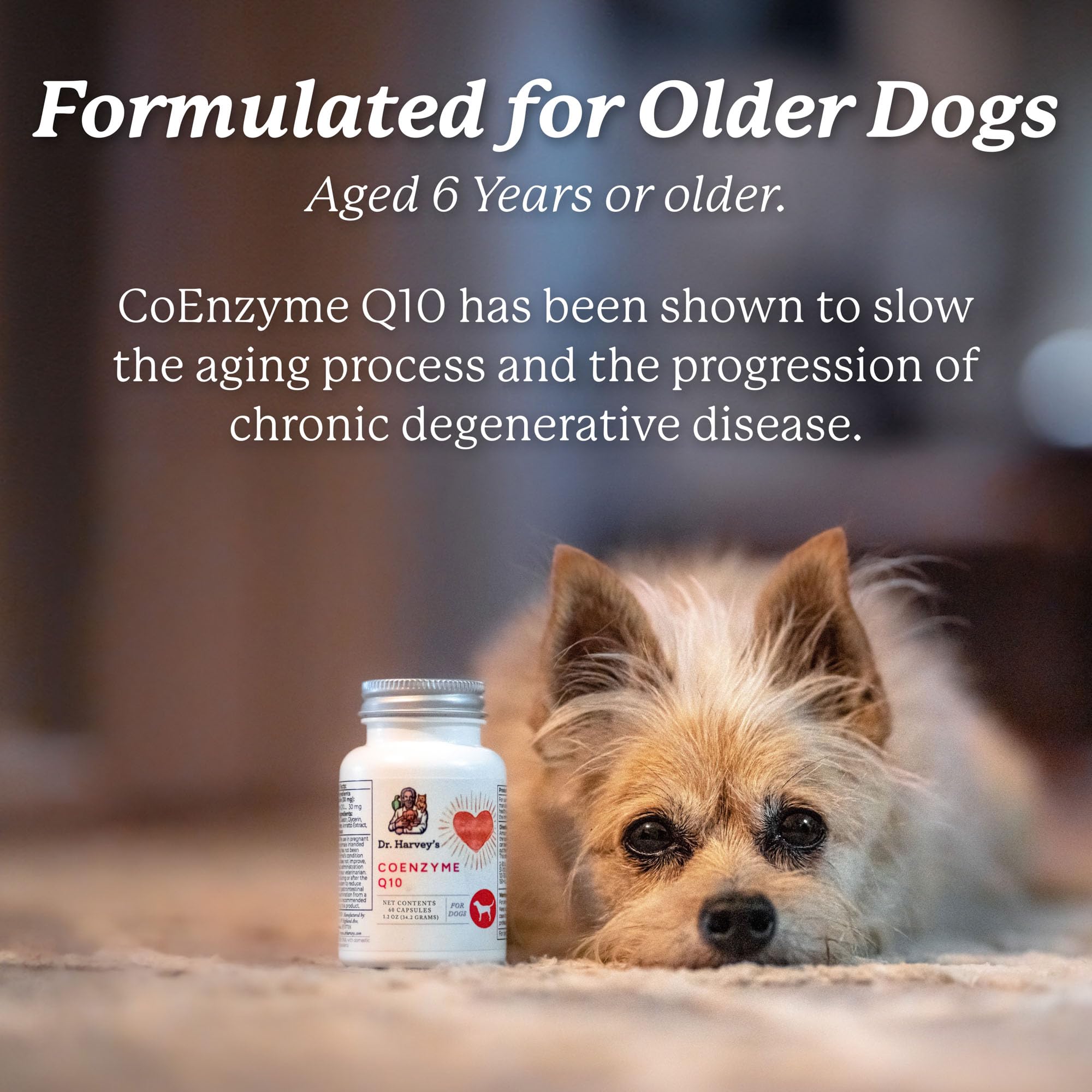 Dr. Harvey's Coenzyme Q10 - Heart & Cardiovascular Support Supplements for Dogs, 60 Capsules