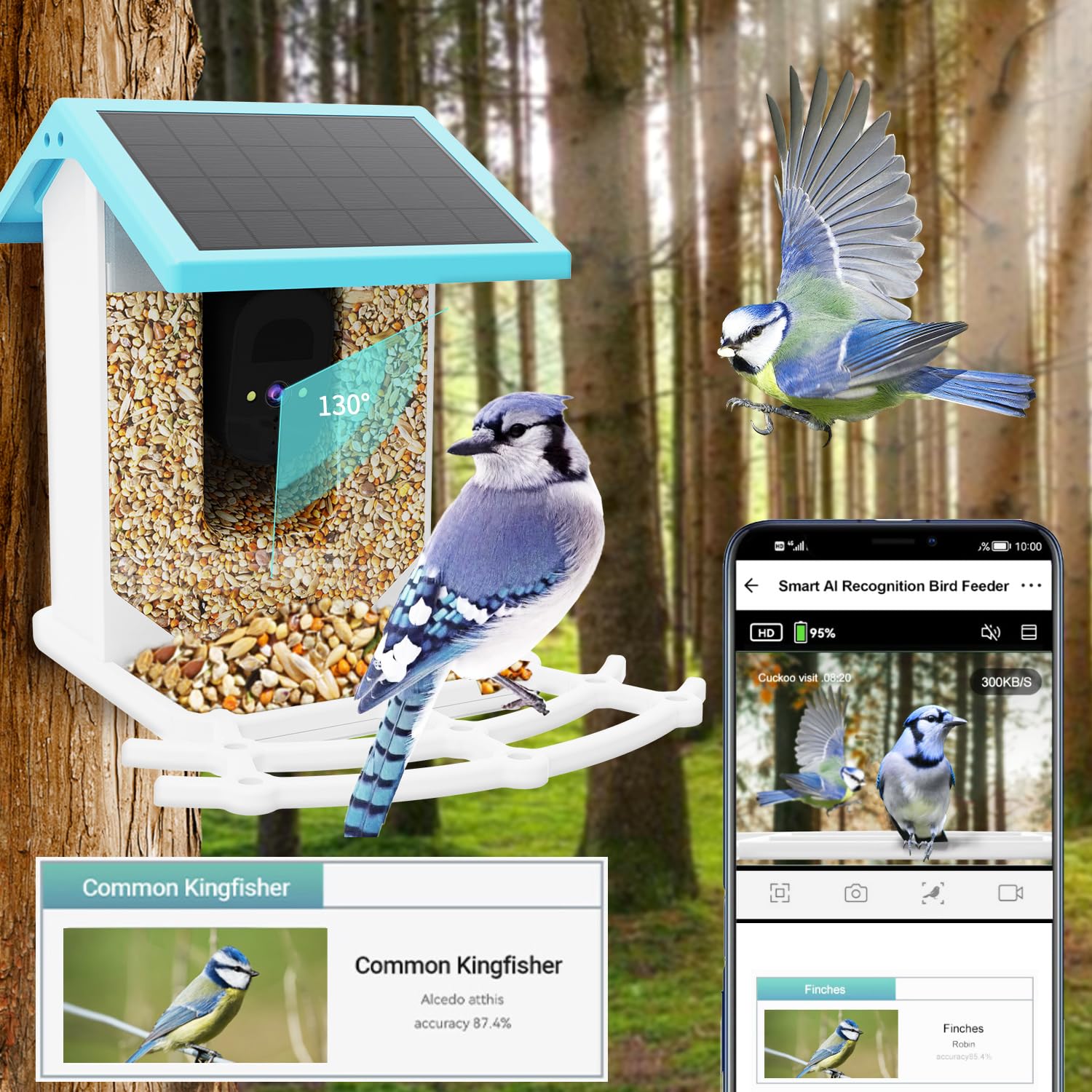 Smart Bird Feeder with Camera - HD AI Identify 11000+ Bird Species, Solar Panel Bird Feeder Auto Detect & Notify, Bird Watching Camera Wireless Outdoor for Bird Lover