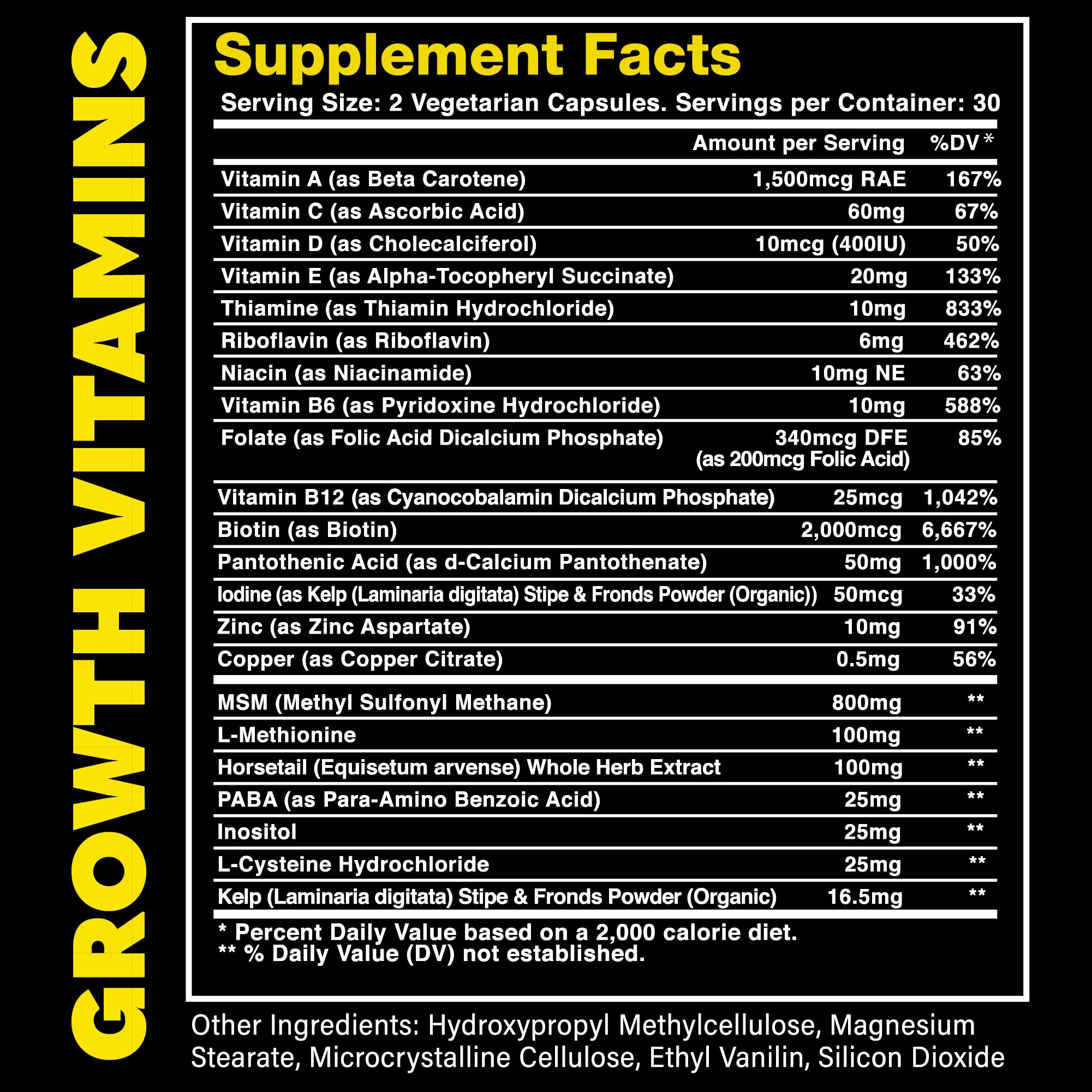 The Beard Club - Biotin Beard Growth Vitamins - Support A Thicker Fuller Beard, Fill in Patches - Minerals & Multi-Vitamins Help Support and Stimulate Healthier Facial Hair Growth