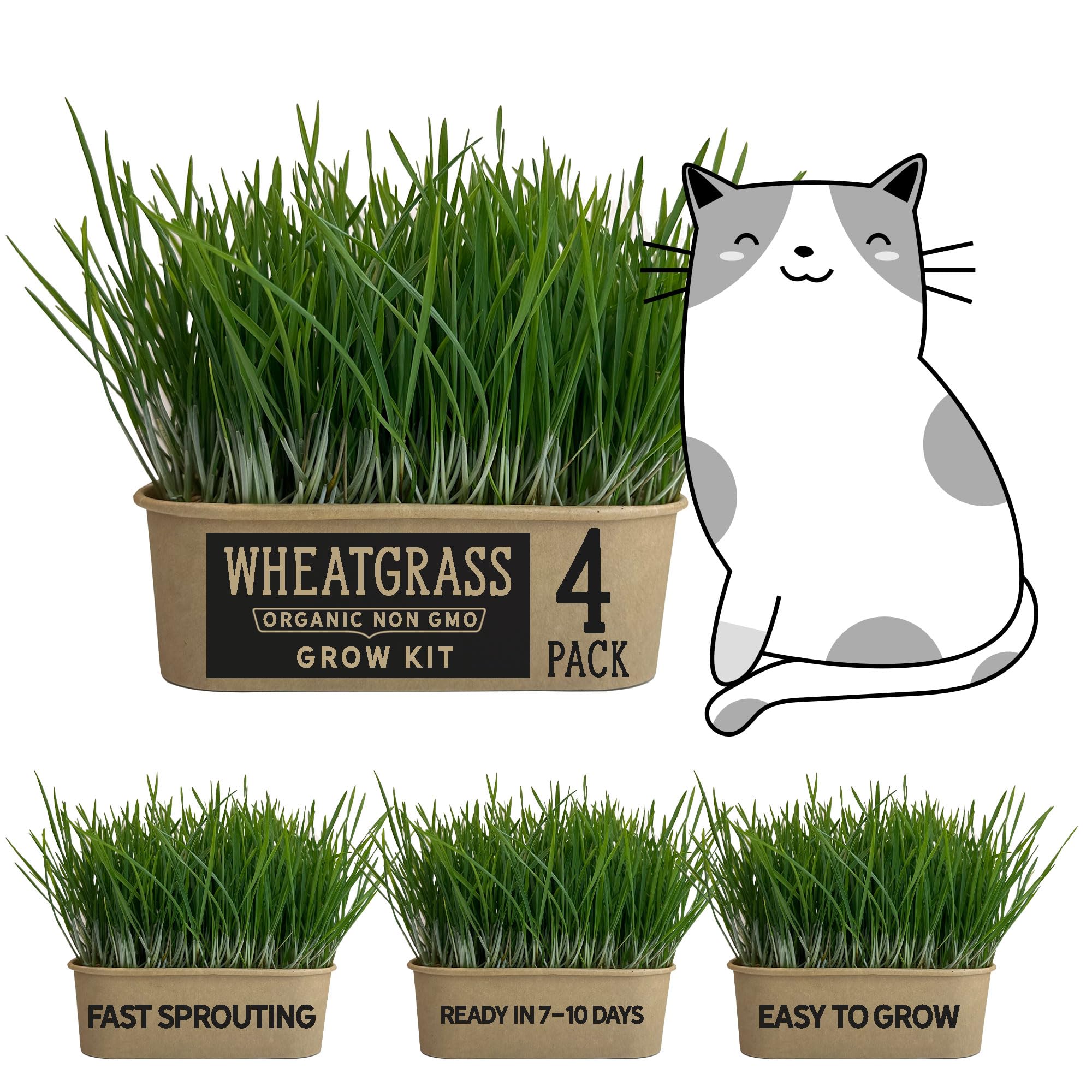 Organic Wheatgrass Cat Grass Premium Grow Kit 4 Pack | 100 % Wheatgrass Seeds Non‑GMO Seeds for Cats & Humans