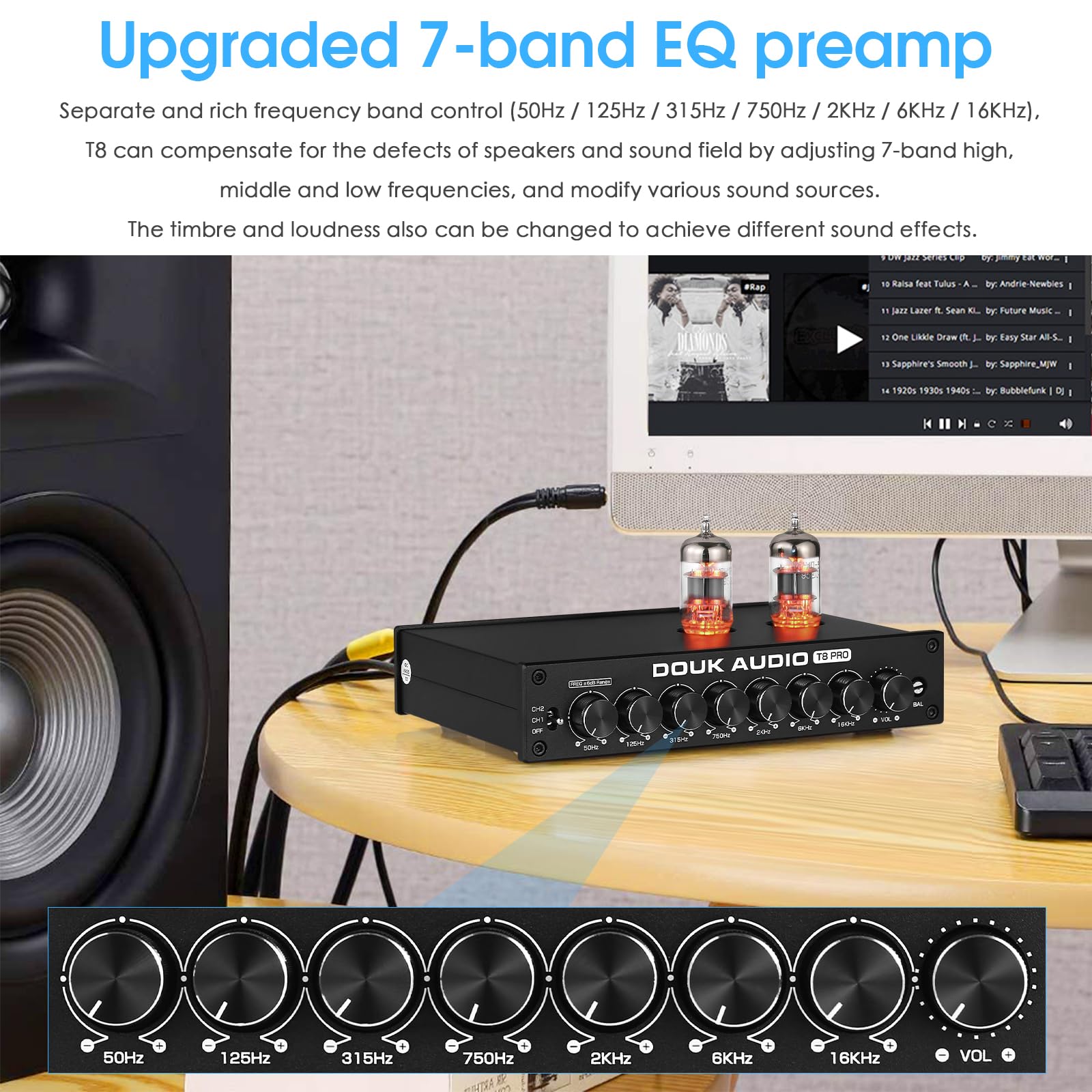 Douk Audio HiFi Vacuum Tube 7-Band EQ Preamp Equalizer XLR Pre-Amplifier Home (T8 PRO)