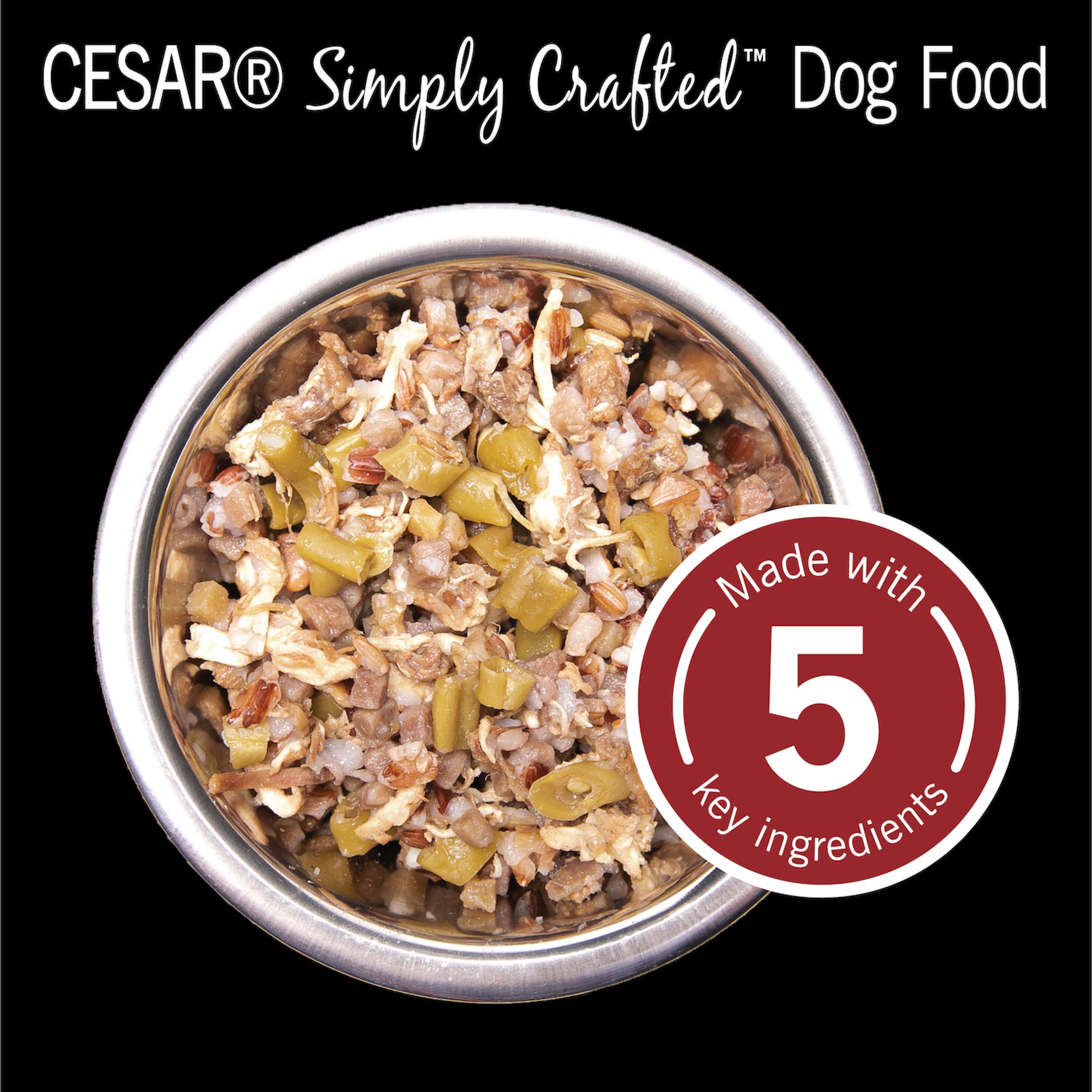 CESAR SIMPLY CRAFTED Adult Soft Wet Dog Food Meal Topper Beef, Chicken, Purple Potatoes, Green Beans & Red Rice, 1.3 oz. Tubs, (Pack of 10)