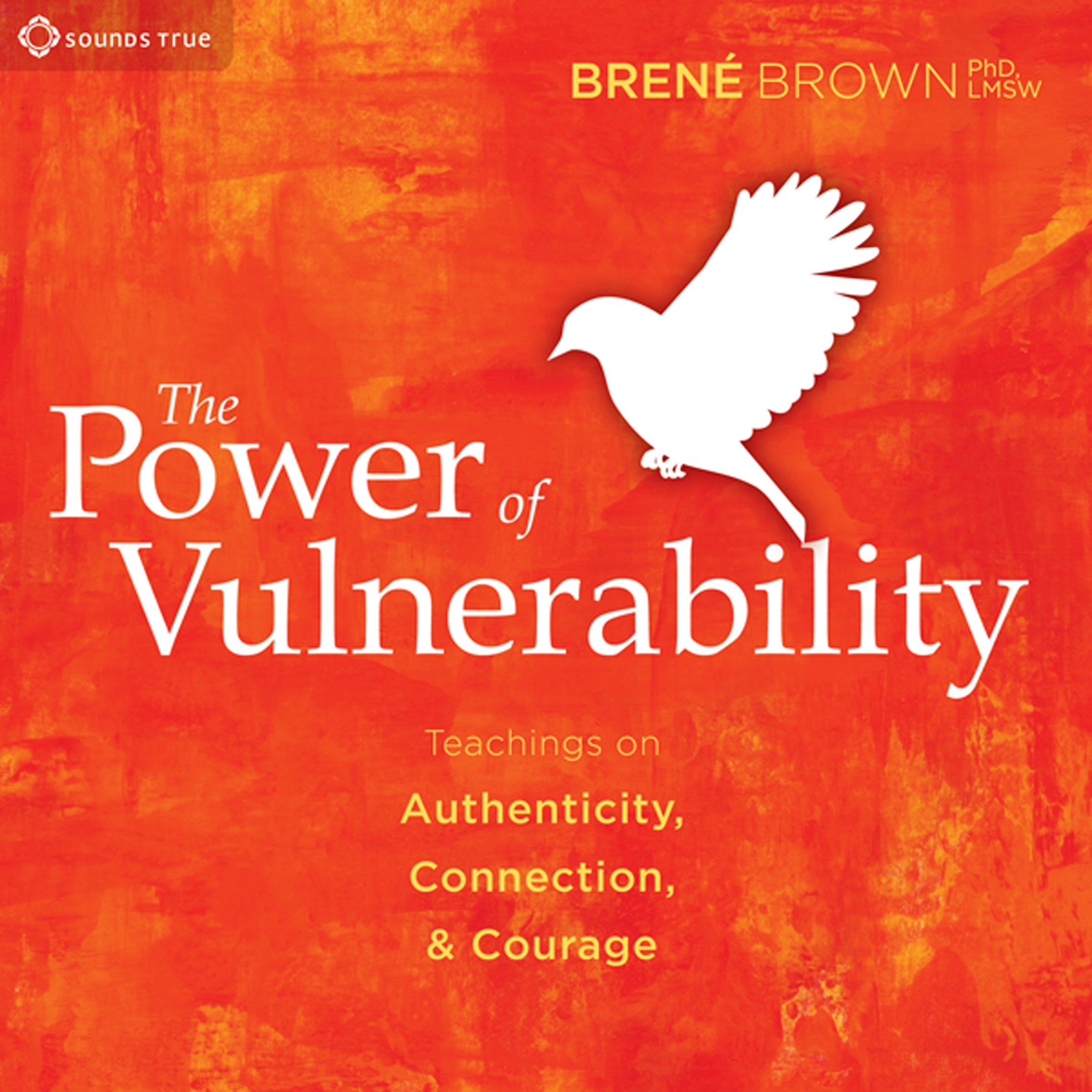 The Power of Vulnerability: Teachings of Authenticity, Connection, and Courage