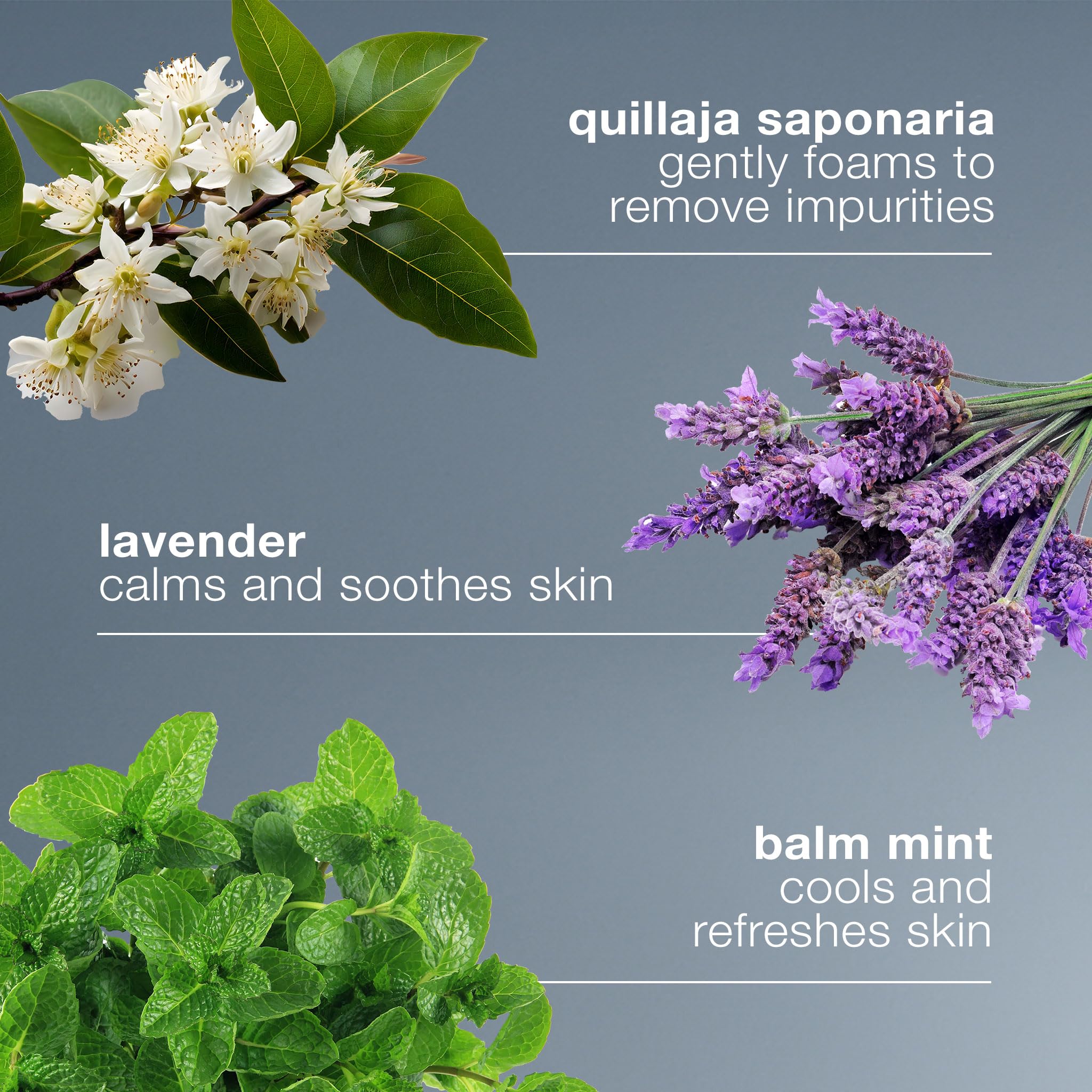 Dermalogica Special Cleansing Gel Gentle-Foaming Face Wash for Women and Men - Leaves Skin Feeling Smooth And Clean, 16.9 Fl Oz