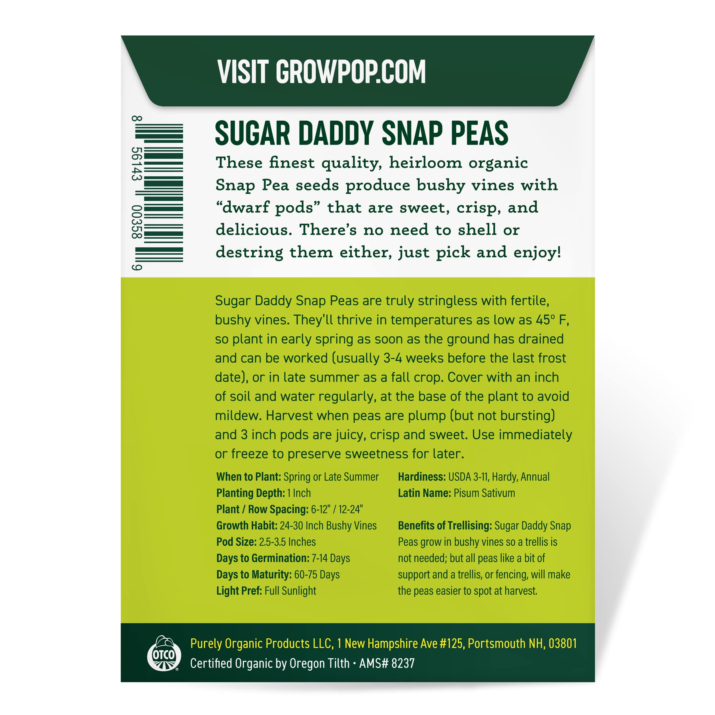 Organic Snap Pea Seeds (Sugar Daddy) - Approx 75 Seeds - USDA Organic, Non-GMO, Open Pollinated, Heirloom, USA Origin