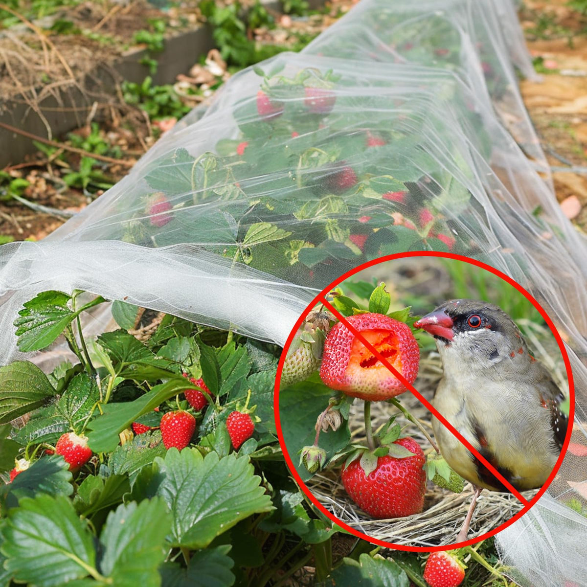 GonLei Garden Netting 8 X 24 FT Garden Mesh Netting Protection Plant Cover Screen Vegetable Row Cover,Cicada Netting for Trees Blueberry Shrubs Fruits Flowers Garden Screen Barrier Net