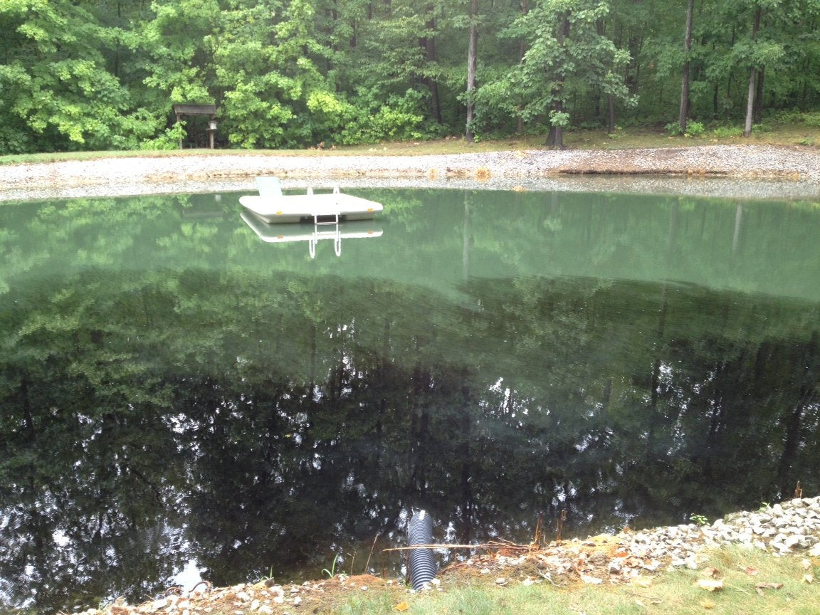 Pond Champs Black Lake & Pond Dye – One Gallon of Deep Black Pond Colorant – Treats 1 Acre - Safe for Fish, Wildlife, Pets & Children