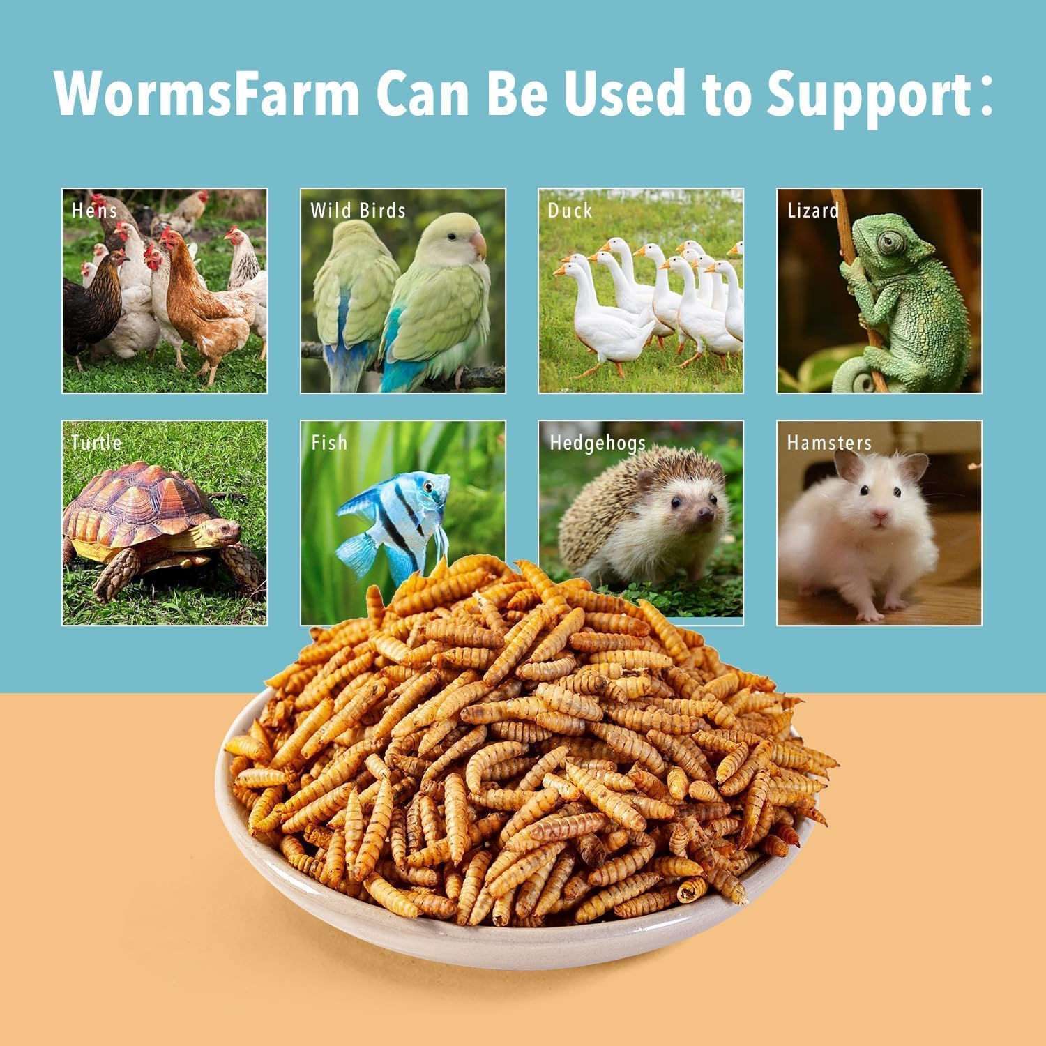 WormsFarm 5lb Dried Black Soldier Fly Larvae for Chickens More Calcium Than Mealworms for WildBirds(5 Pound)