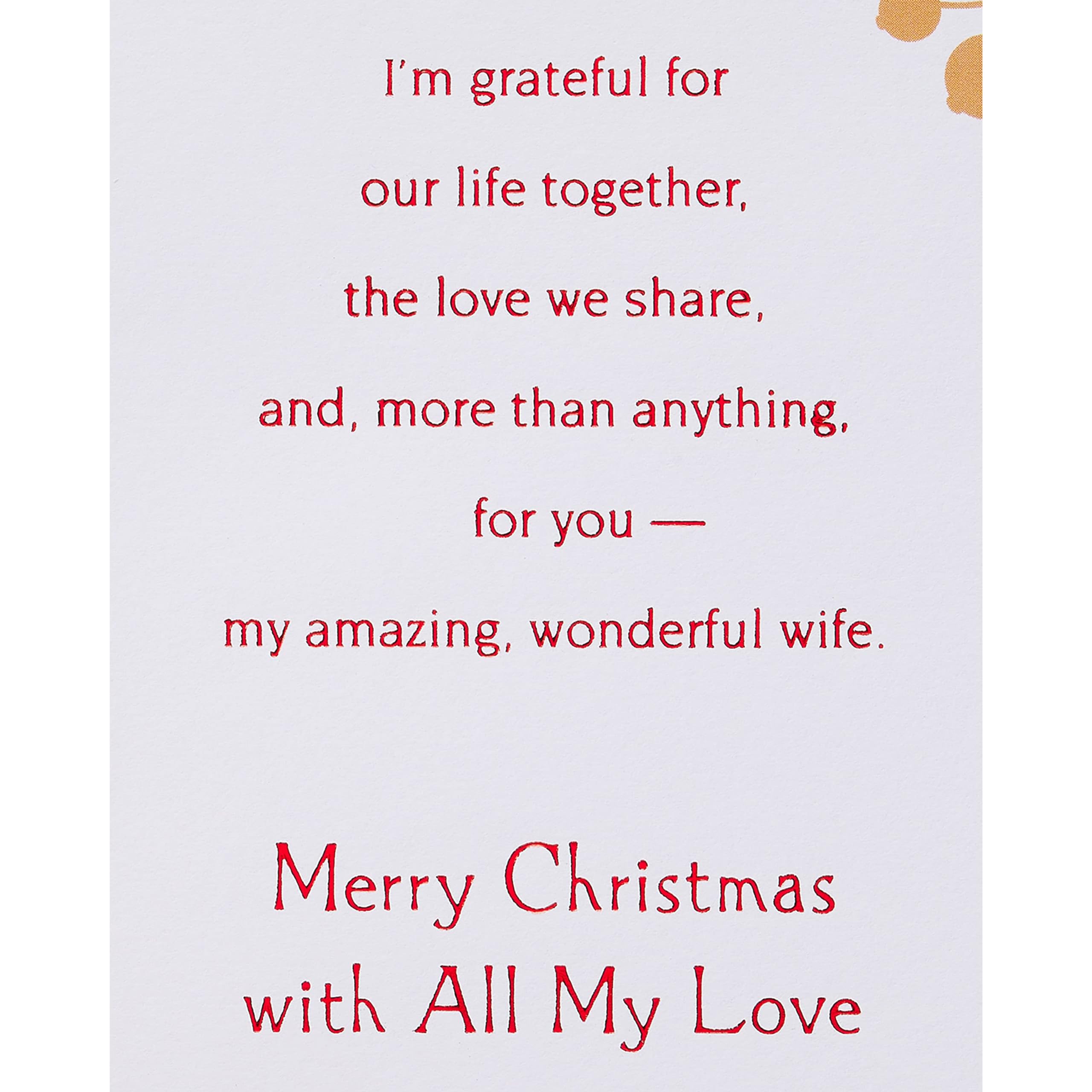 American Greetings Christmas Card for Wife (Life’s Been So Good)