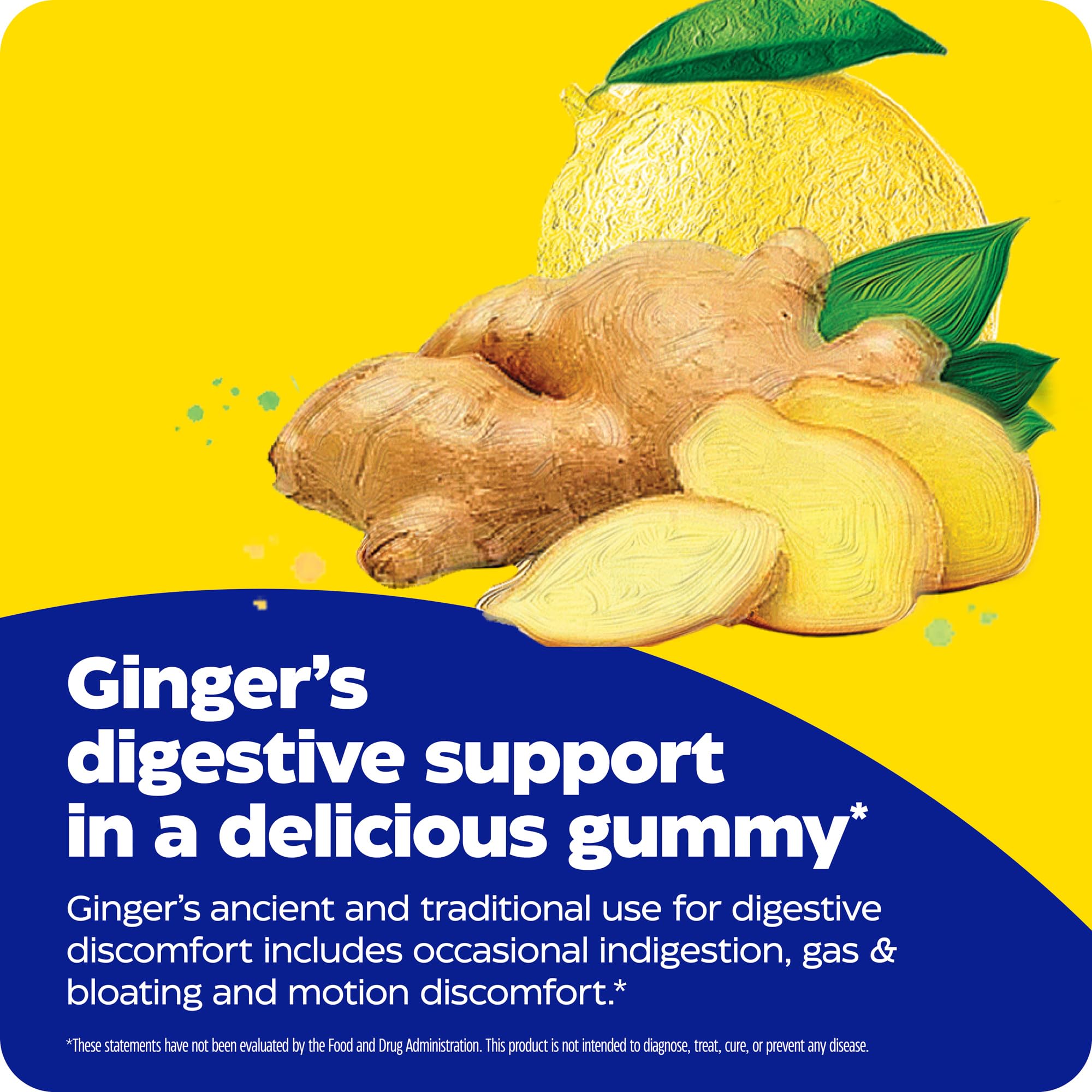 Enzymedica, Ginger & Vitamin B6 Gummies, Support for Occasional Nausea & Indigestion, High Potency, Equivalent to 200 mg Ginger Extract, 60 Count