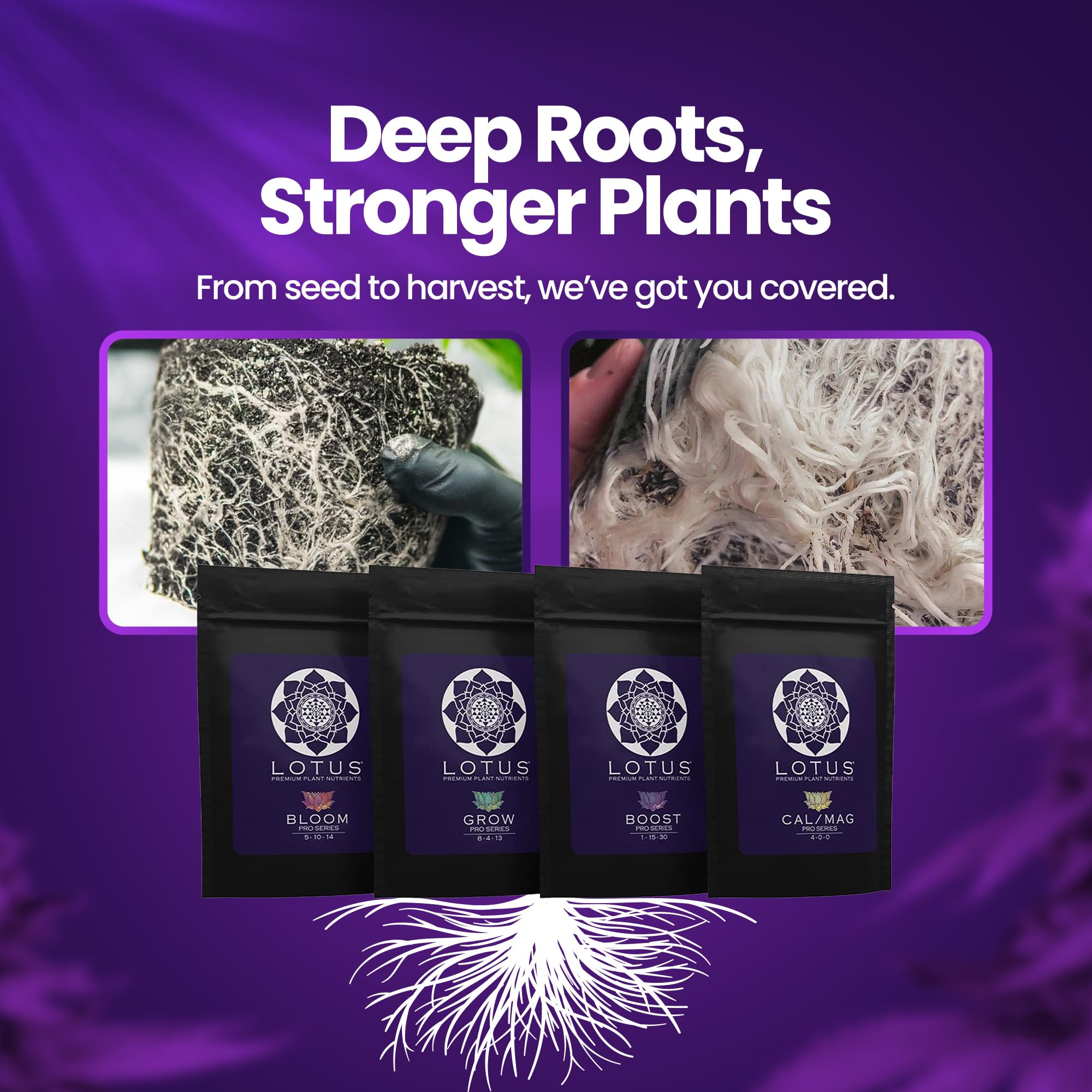 Lotus Nutrients - Pro Series - Powdered Plant Nutrients Intro Pack, Grow, Bloom, Boost, and Cal/Mag with Nitrogen Calcium and Magnesium for Hydroponics Coco Coir and Soil, Indoor and Outdoor Plants