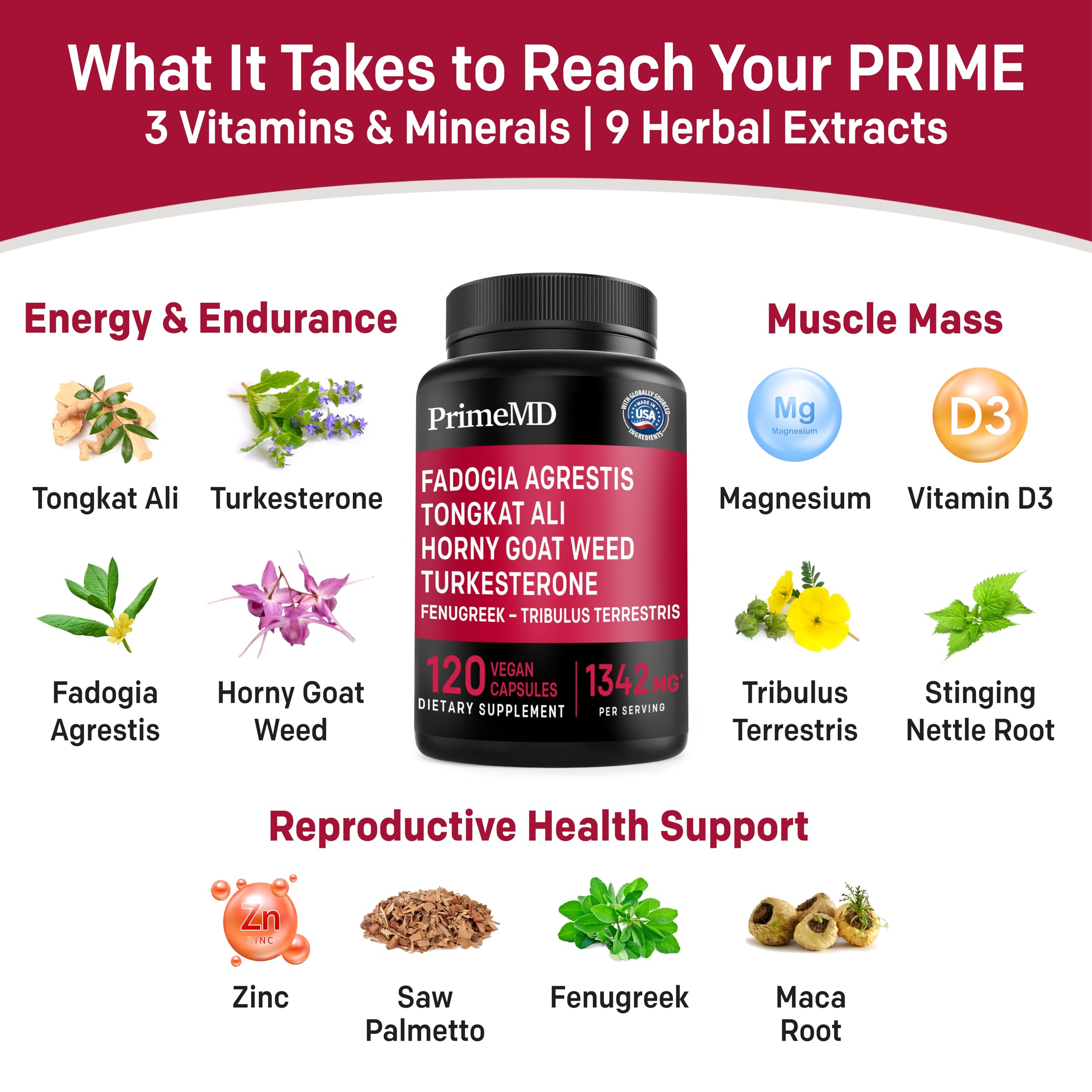 Ceylon Cinnamon (1pk), Fadogia Tongkat Ali (1pk), and Nitric Oxide (1pk) Supplement Bundle - Potent Vitamins for Heart, Energy, Male Well-Being, & Immune Support - Non-GMO, Vegan, Gluten-Free