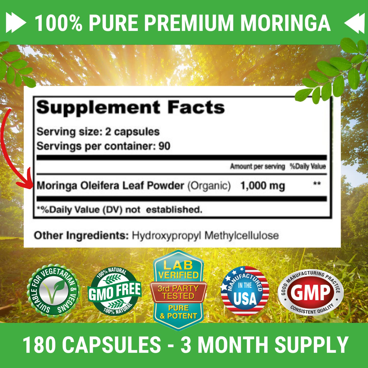 FRESH HEALTHCARE Moringa Oleifera 180 Capsules – 100% Pure Leaf Powder - 3 Month Supply - Non GMO and Gluten Free - Complete Green Superfood Supplement - Energy, Metabolism and Immune Support