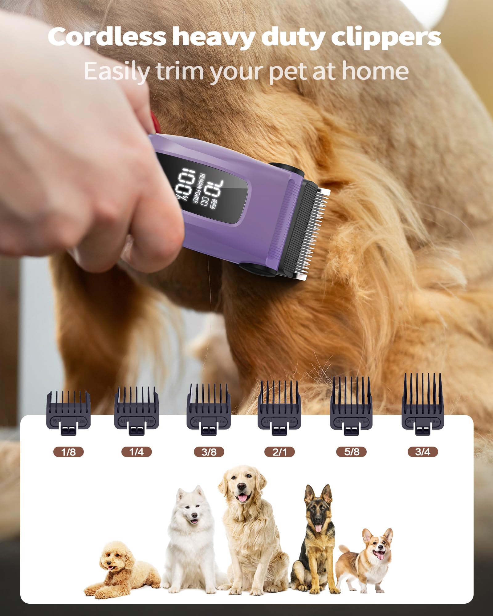 PAPMINI Dog Grooming Kit for Heavy Thick Hair&Coats, 3 in 1 Dog Clippers for Grooming, Rechargeable Cordless Pet Shaver with Storage Box, Quiet Dog Paw Trimmer for Small and Large Dogs Cats Animals
