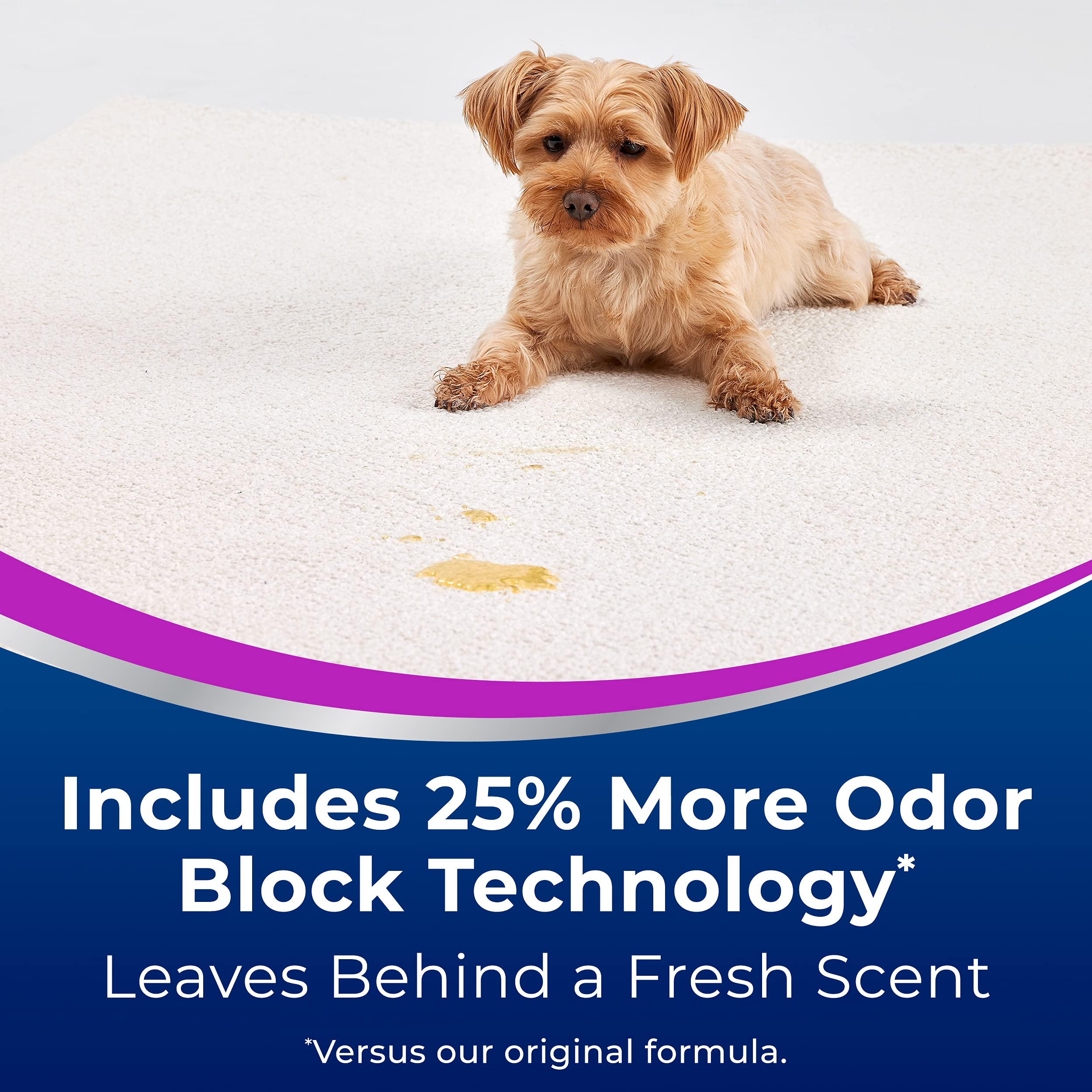 Bissell Woolite® Advantage Pet Stain & Odor Remover + Oxy, 2-Pack, 3326